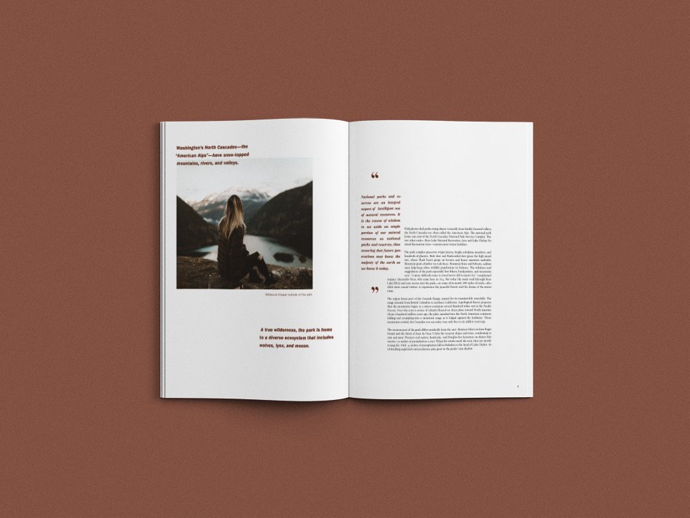 mockup4.jpg