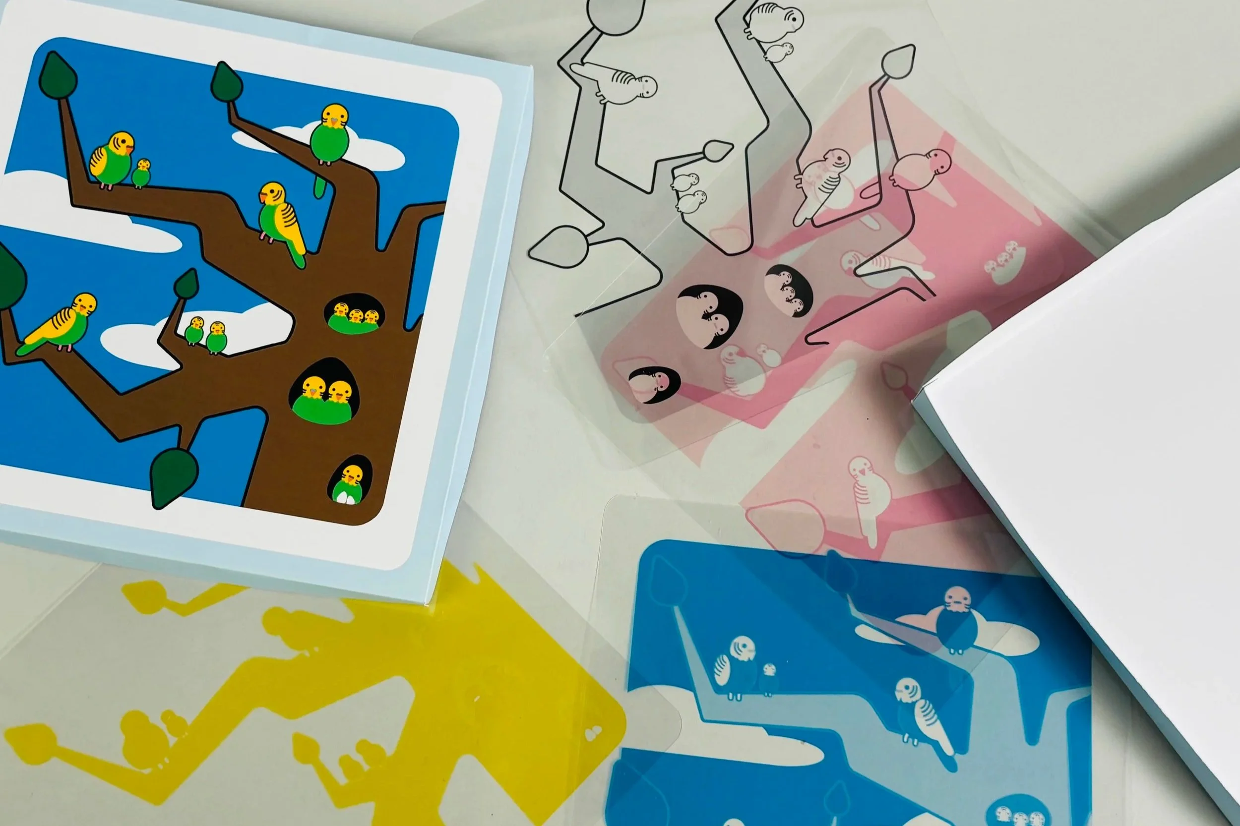 Parakeet Transparency Puzzle