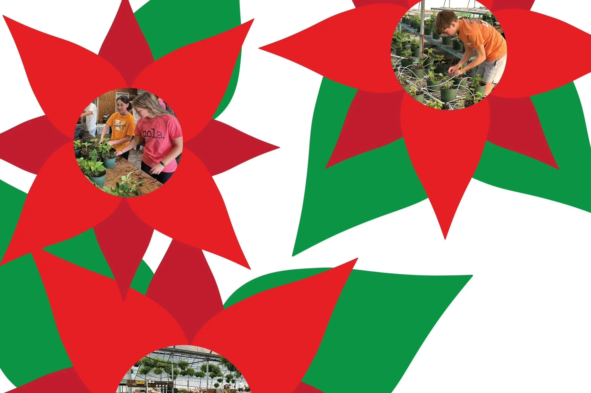 FFGC Plant Sales