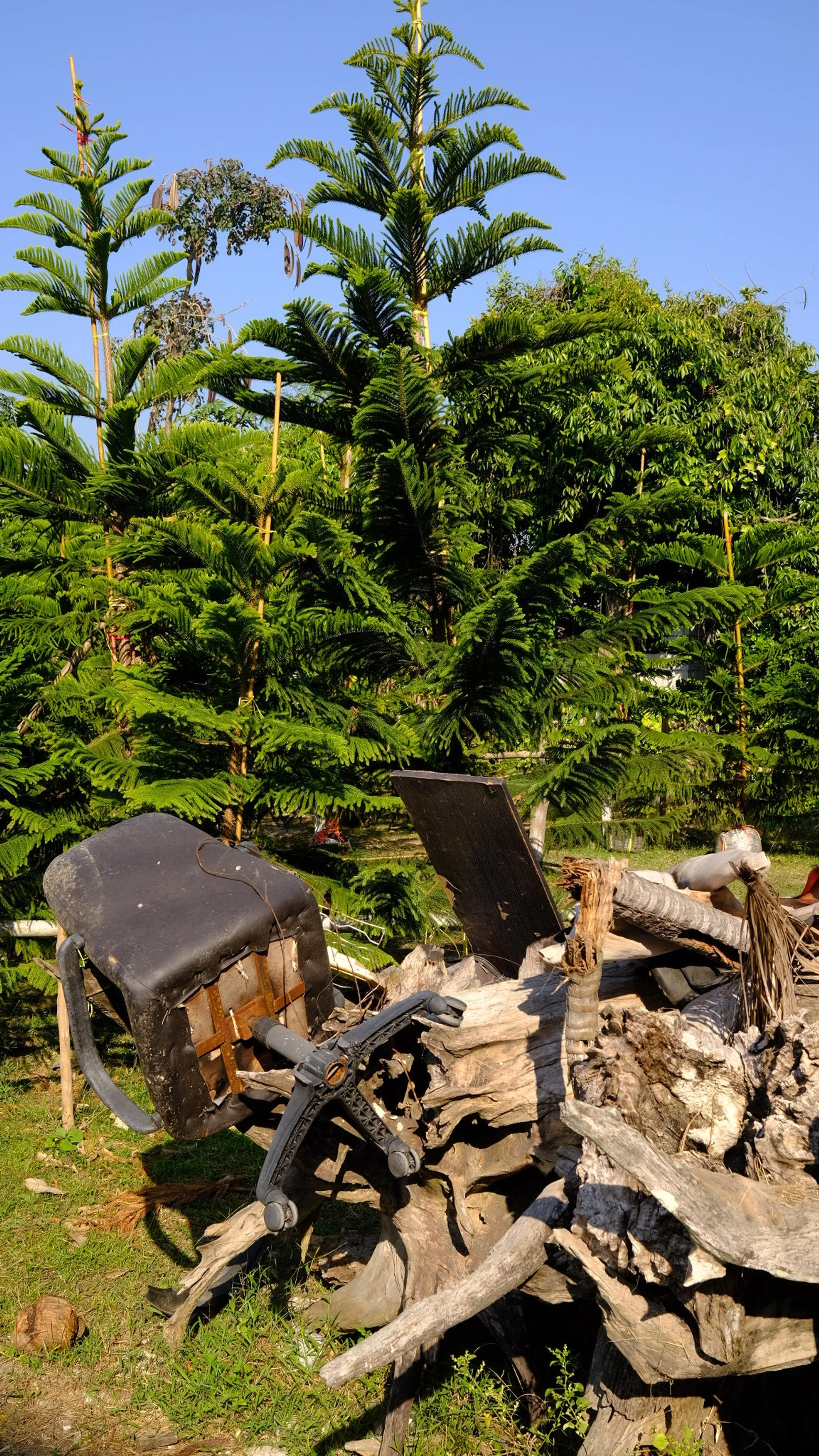 Evergreen: David Goeb -
 X100V | F8 | 1/200 | 500