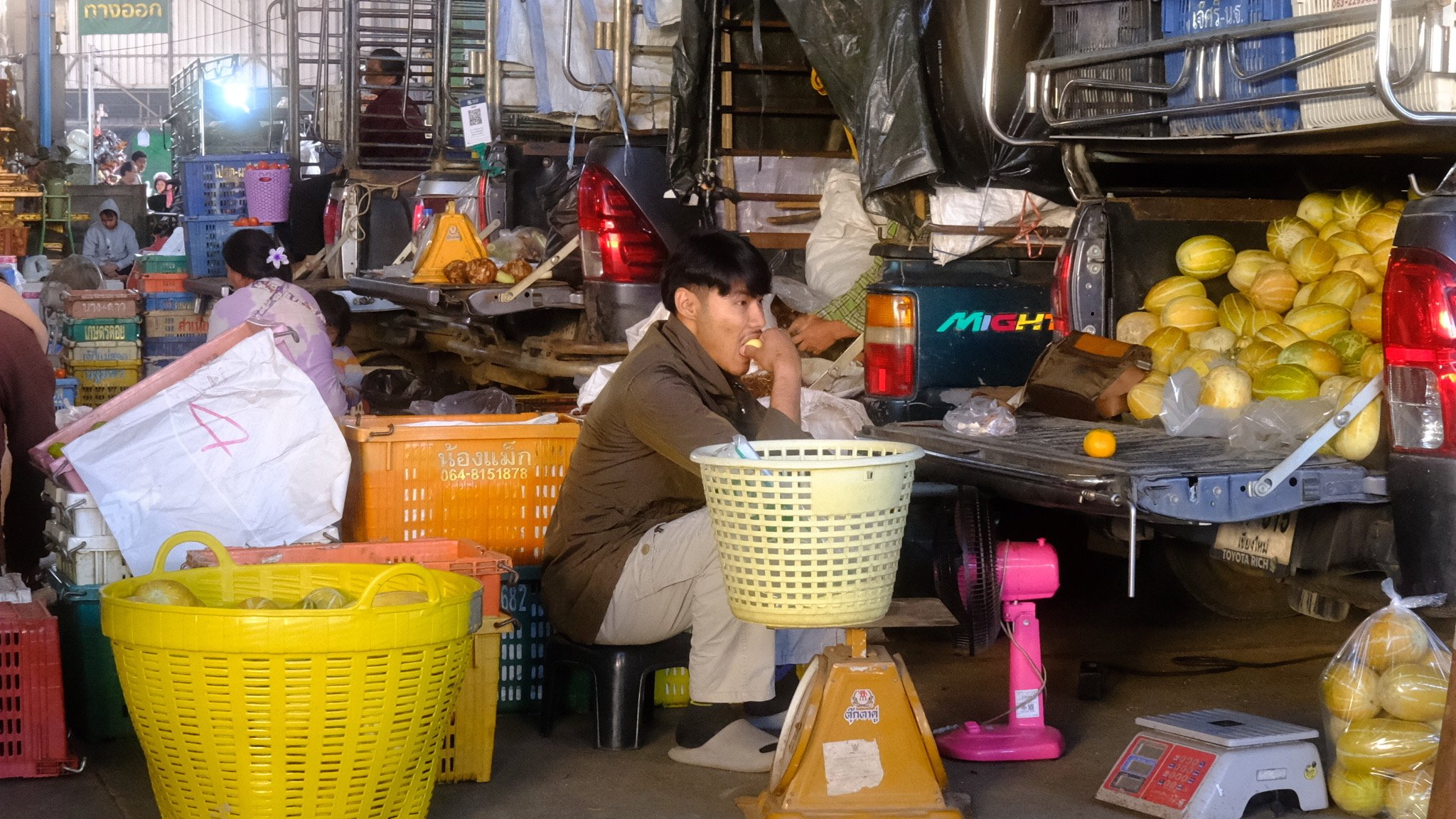 WKND.ROLL #34 | Nibble and Pluck