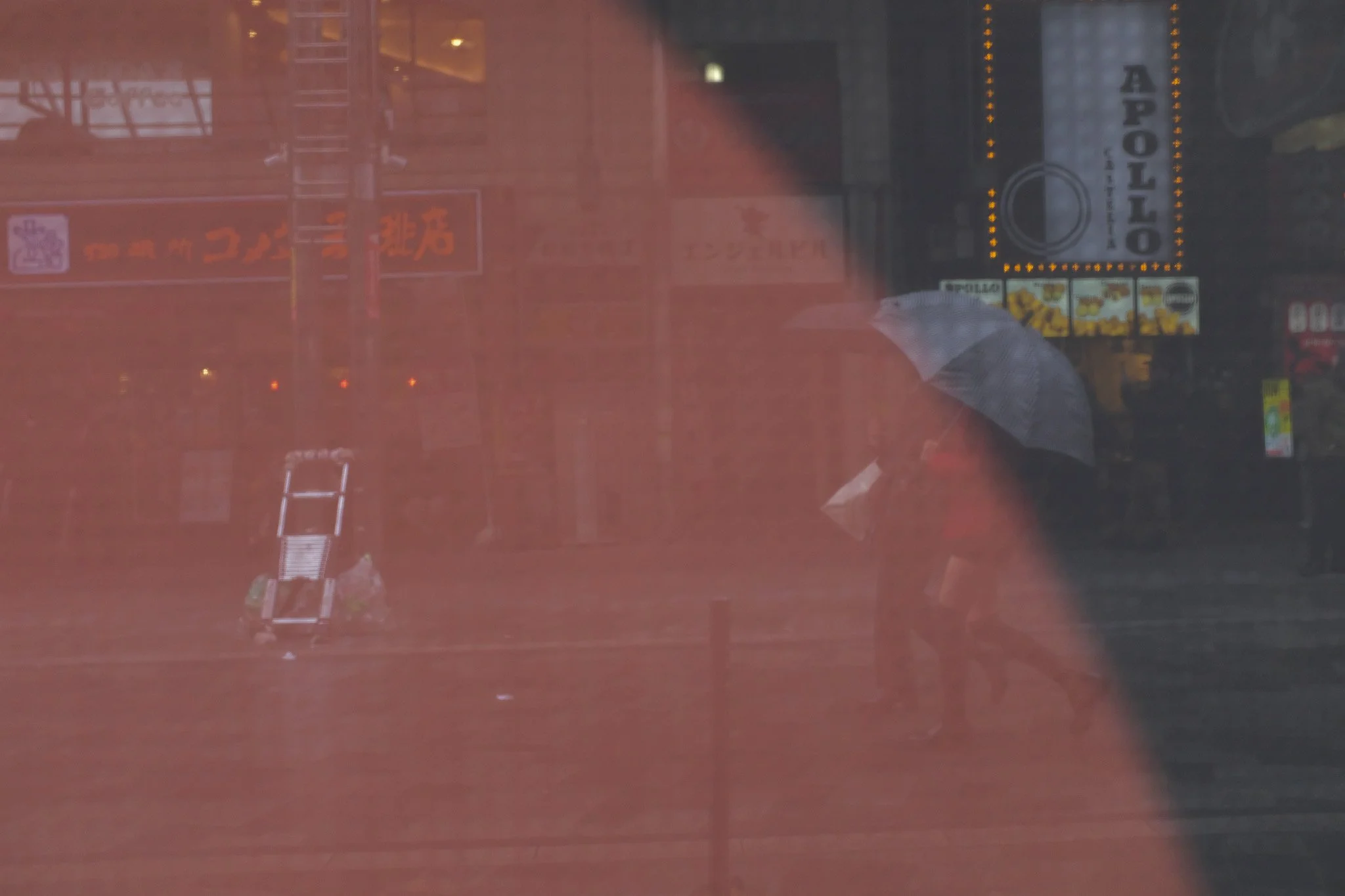 Orange Haze | Sannomiya | 2026