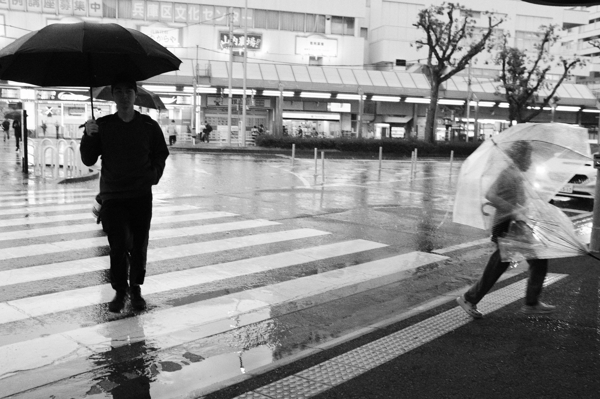 When the Storm Releases | Hyogo-Ku | 2026
