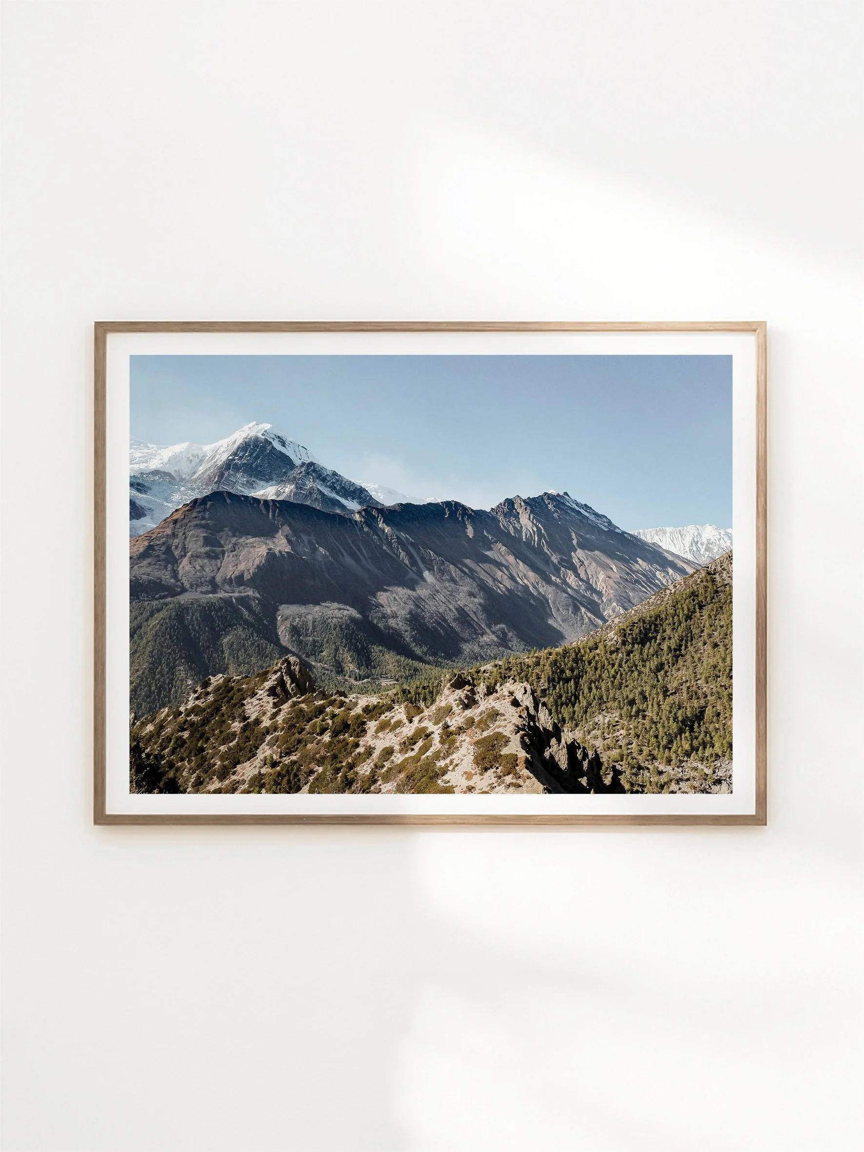 HIMALAYA THUMBNAILS10.jpg