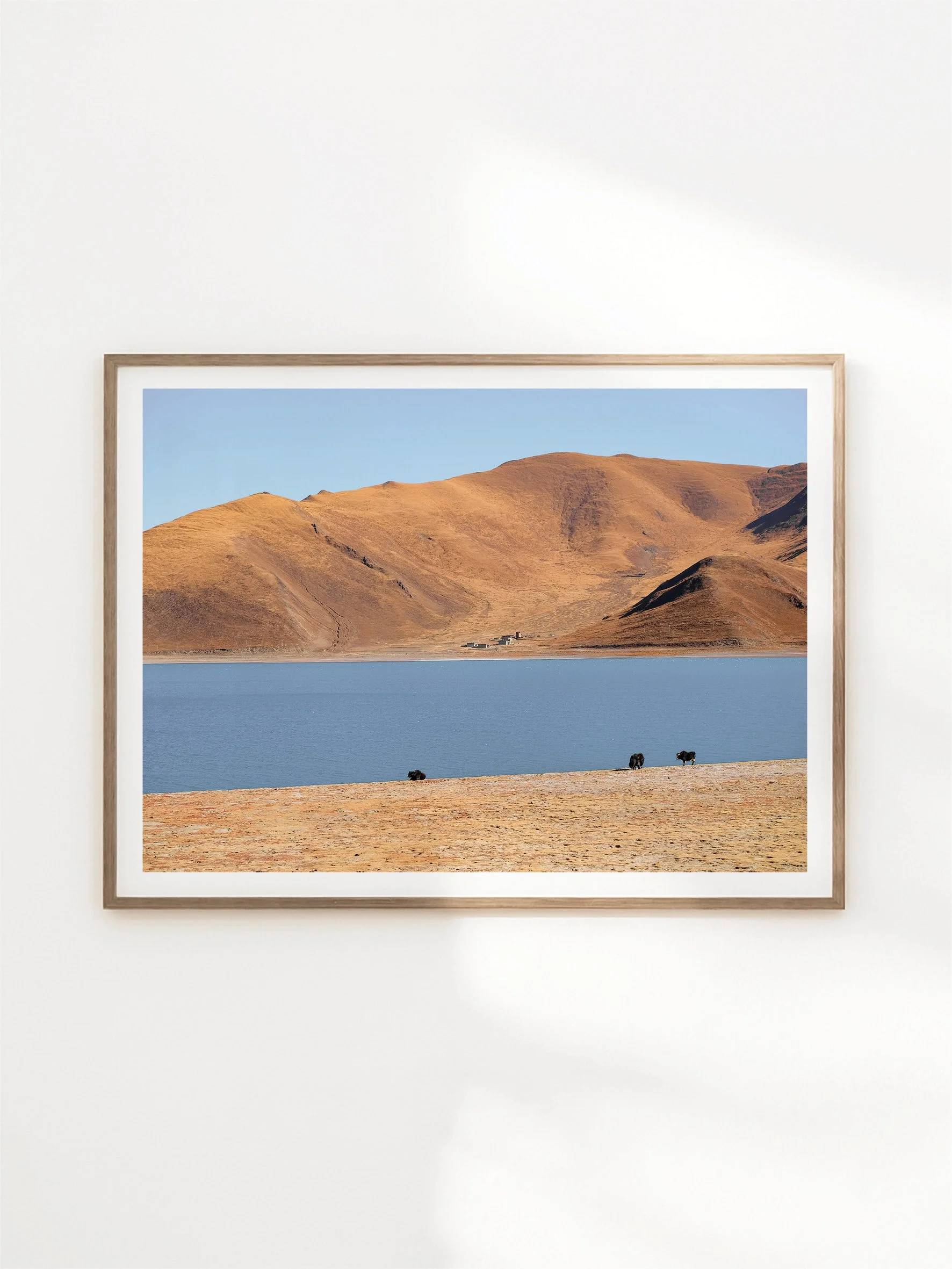 VERTCAL AND HORIZONTAL THUMBNAILS - NEW_3.jpg