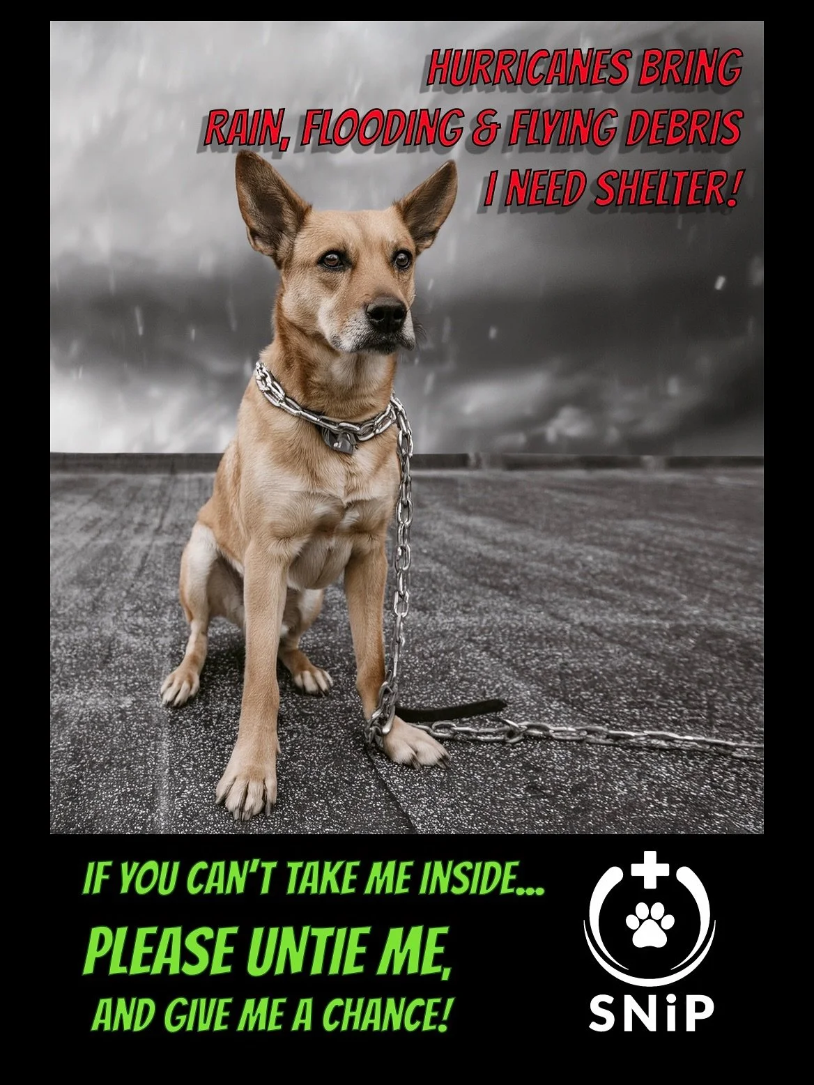 ‼️HURRICANE SAFETY FOR DOGS &amp; CATS‼️

⚠️BRING ANIMALS INSIDE BEFORE THE STORM⚠️

❗️Animals cannot protect themselves in a hurricane.
We MUST protect them❗️

If you cannot bring them inside:

❌ NEVER leave a dog tied up outdoors

✅ Remove yard haz