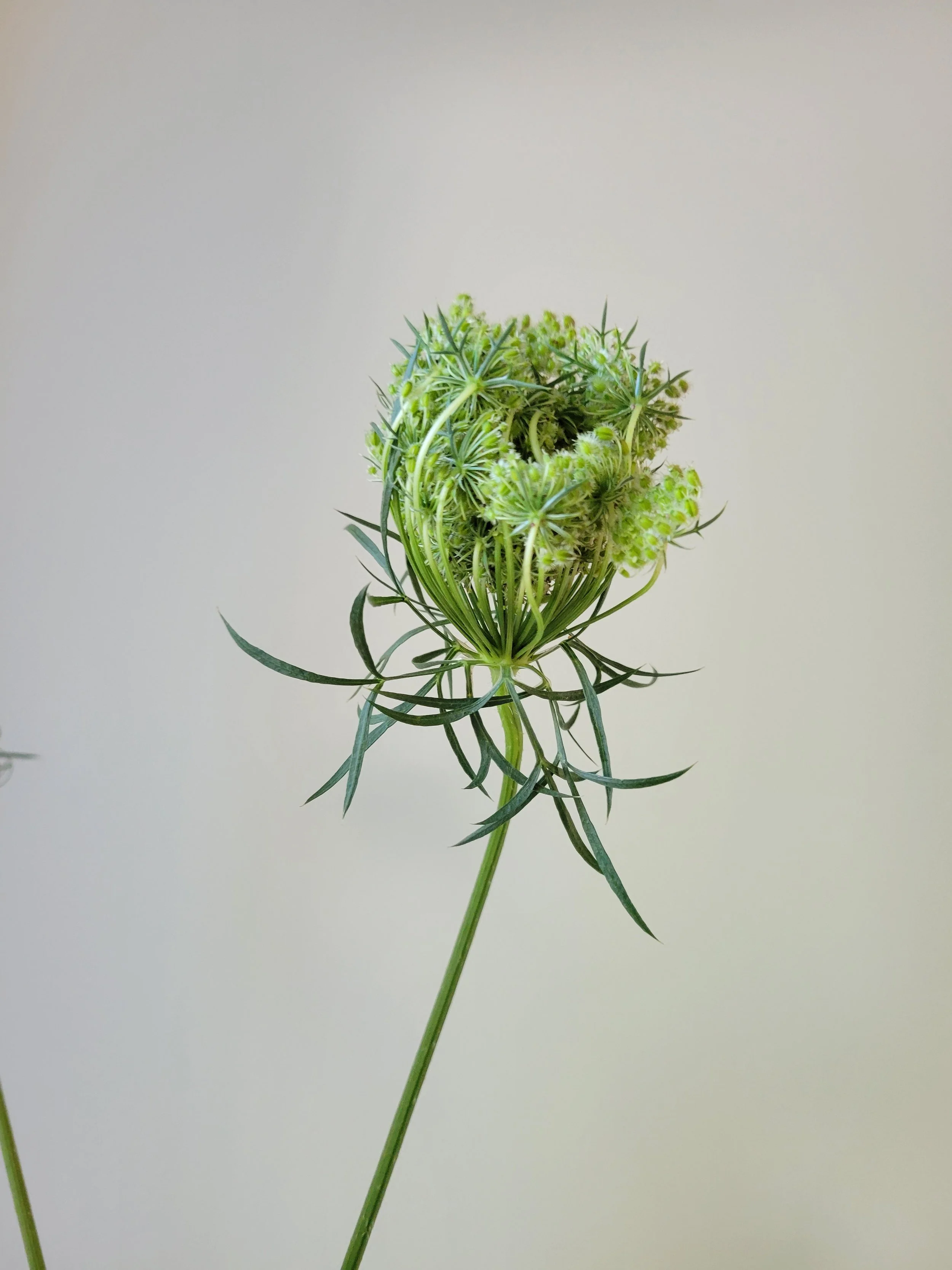 20250930_113522.jpg