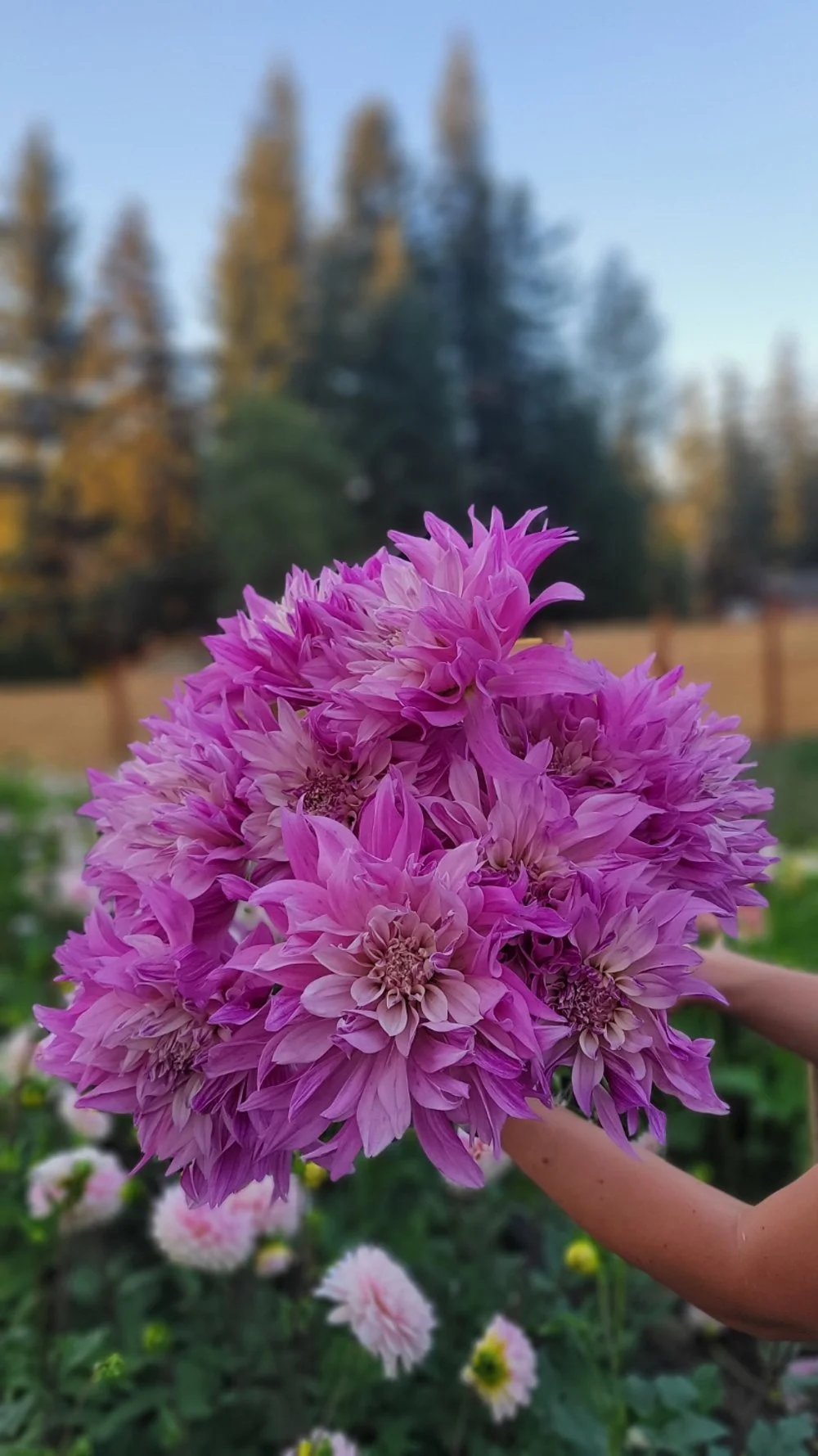 Labyrinth Two-Tone 2.jpg