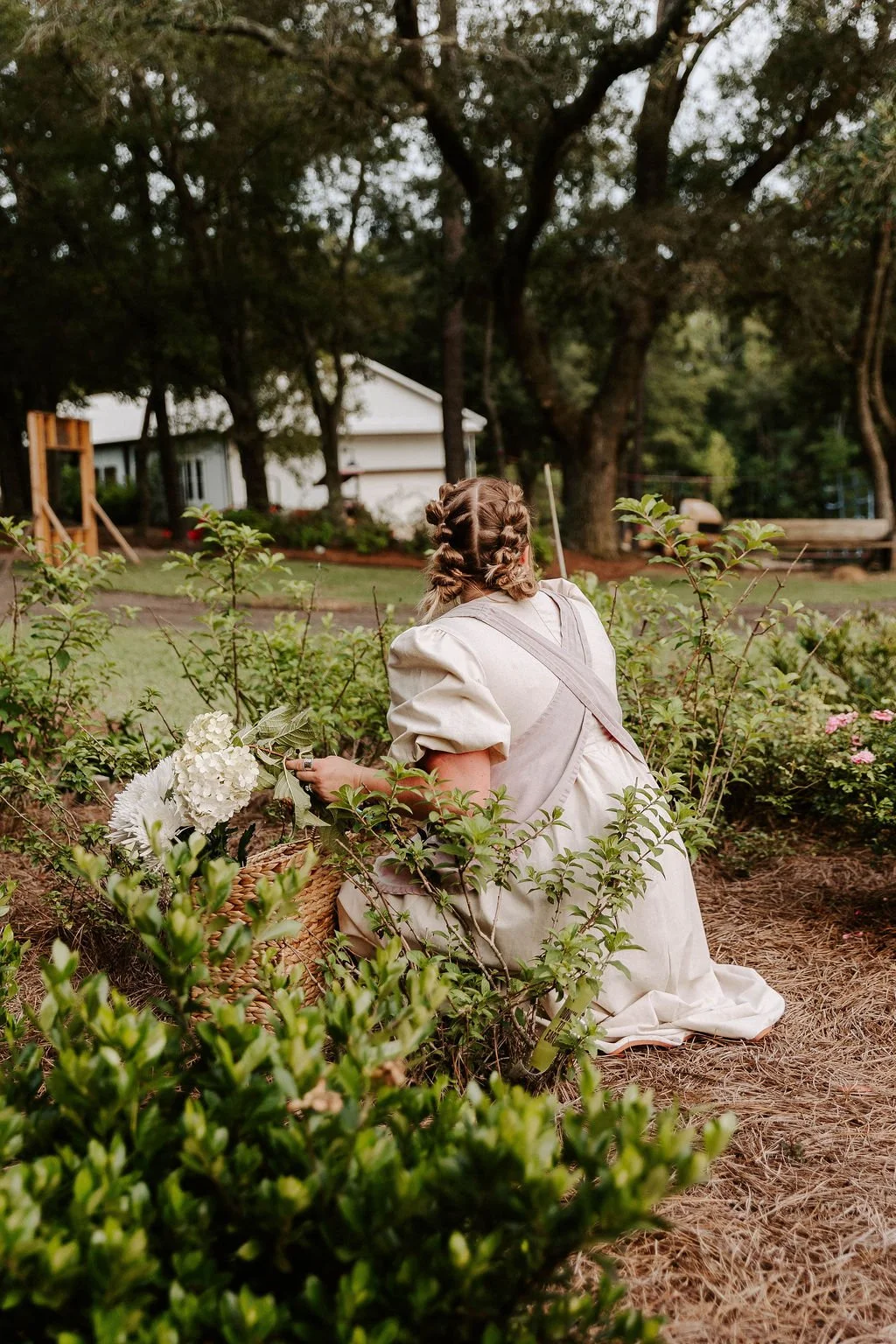 Woman in a light dress gathers white hydrangeas in a garden beside a basket.