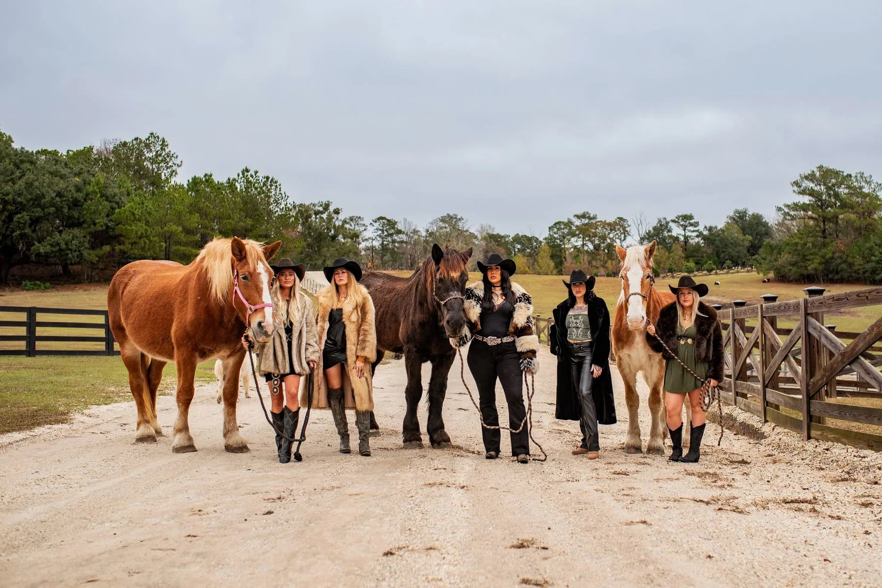 Five women in cowboy hats pose with three horses on a ranch driveway.