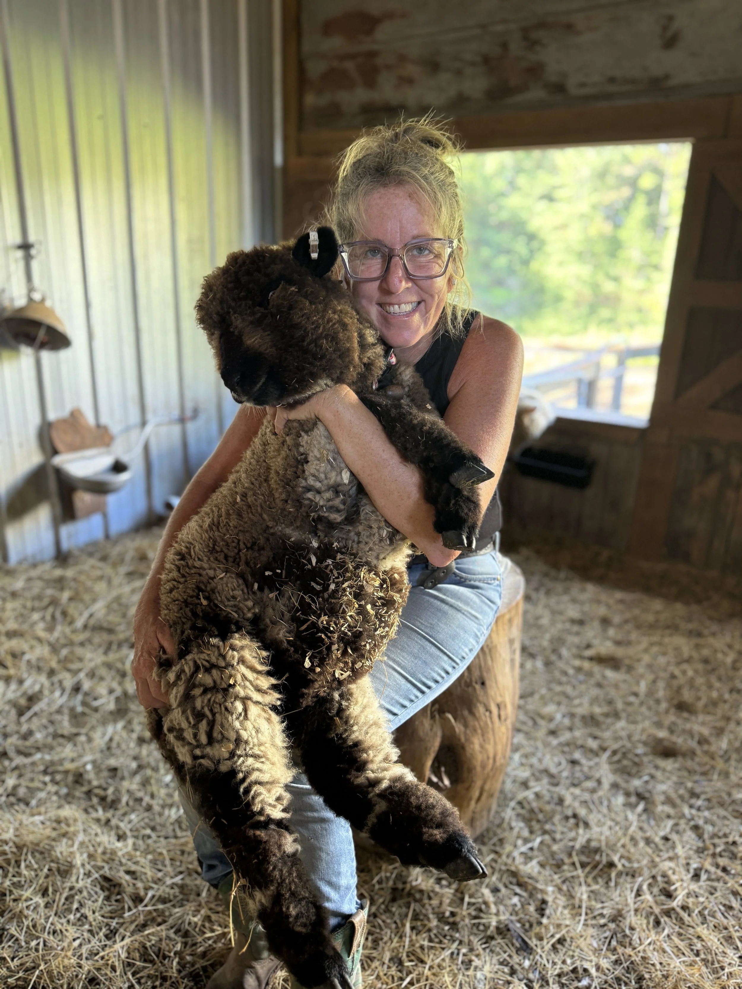 Smiling woman wearing glasses holds a freshly shorn black-and-brown sheep inside a barn.