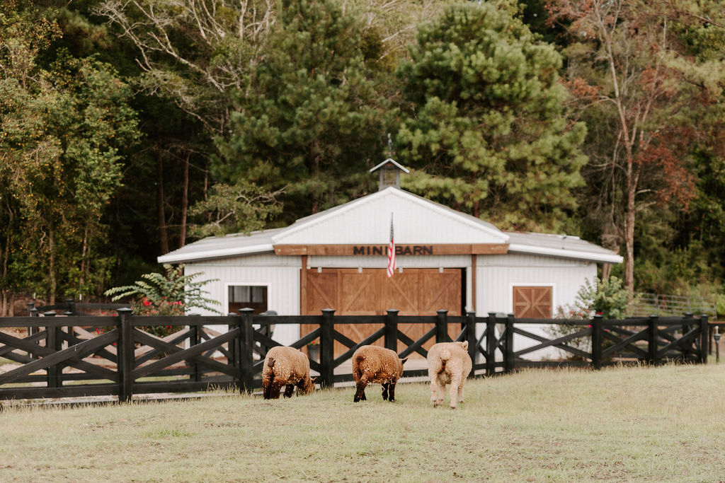 Mini Barn Edit.png