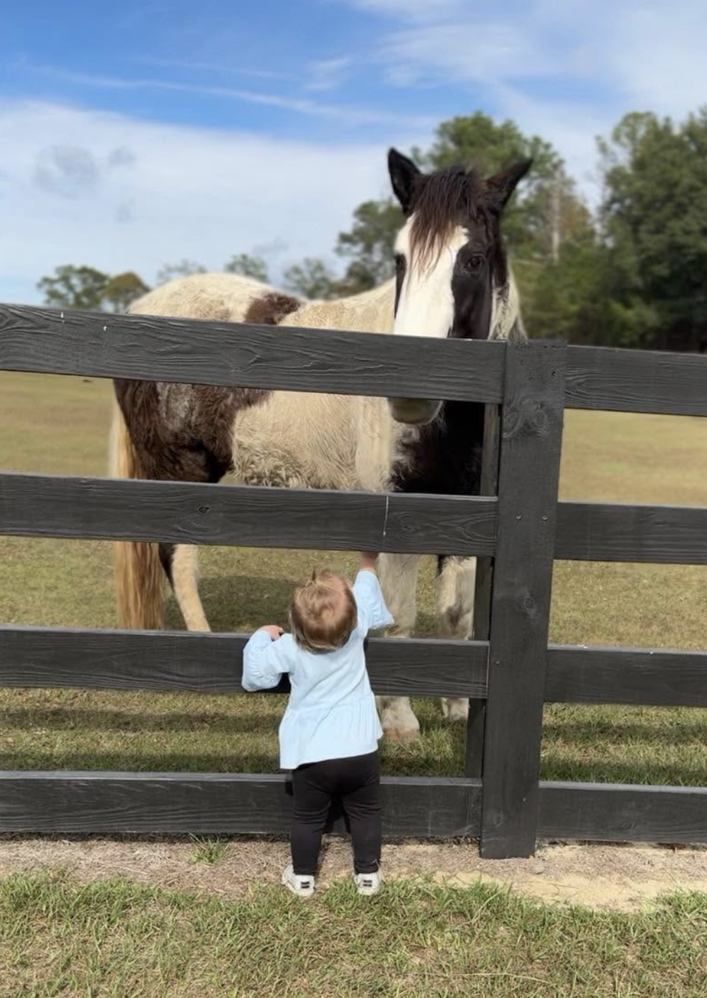Horse and Kid.png