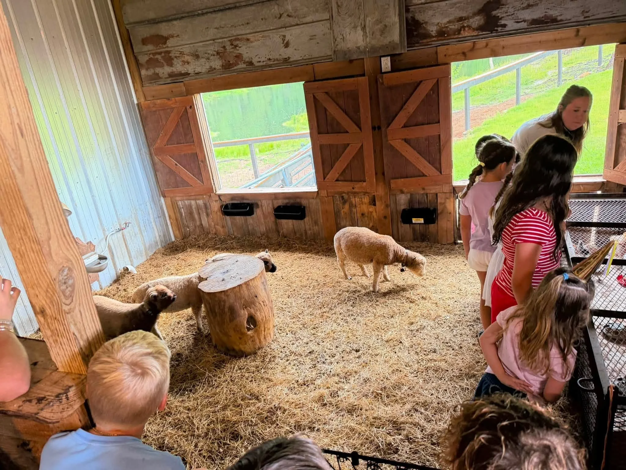 Mini Barn Tour.jpg