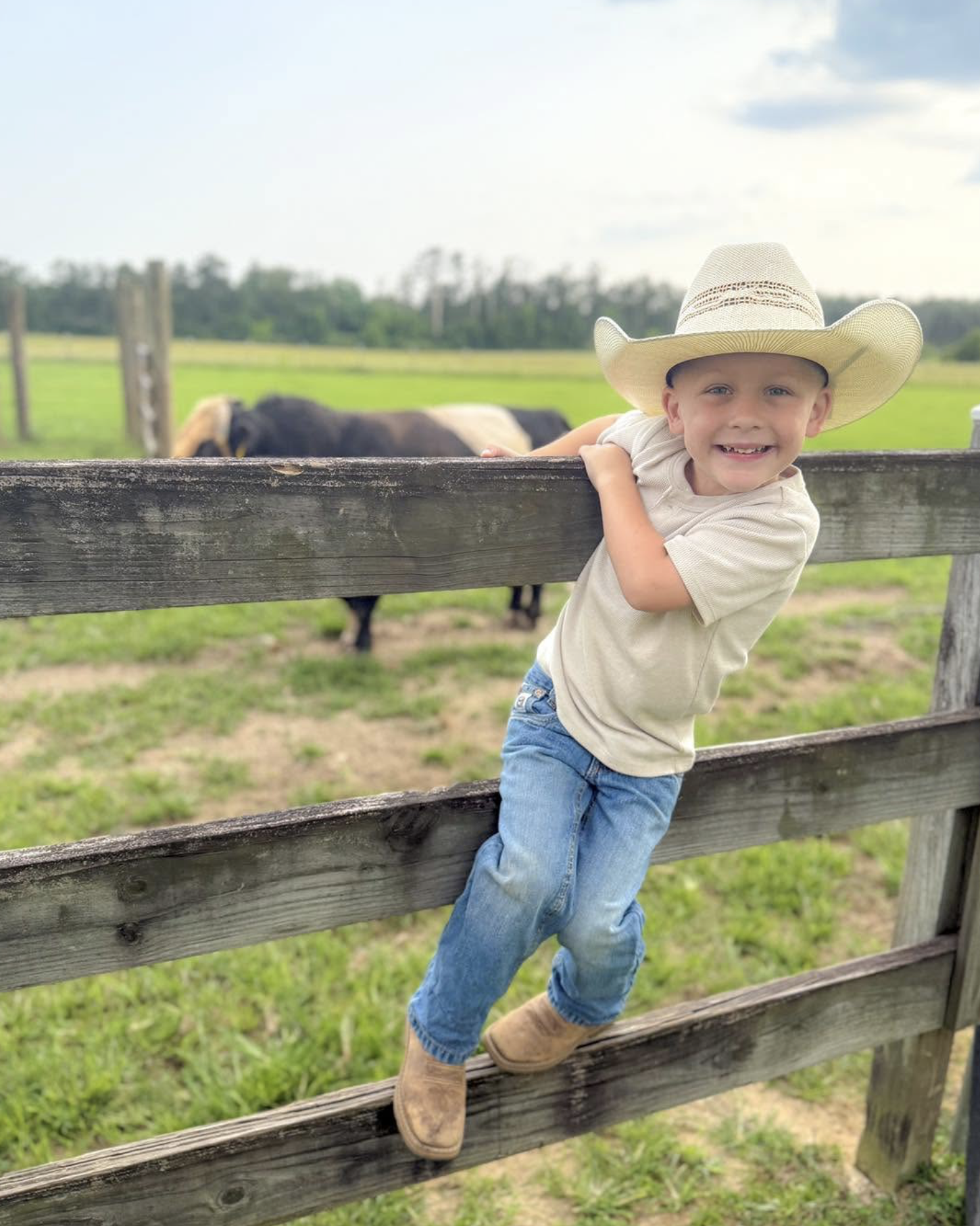 Kid, Fence, Cow.png