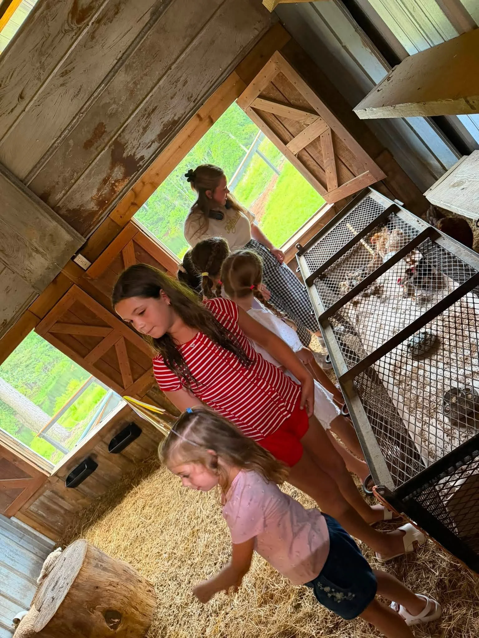 Mini Barn Tour 2.jpg