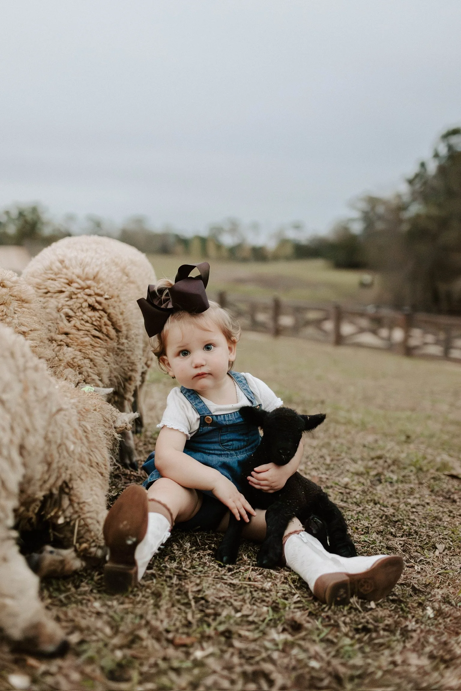 Toddler wearing a large black bow and denim overalls sits outdoors beside a teddy bear and hay bale.