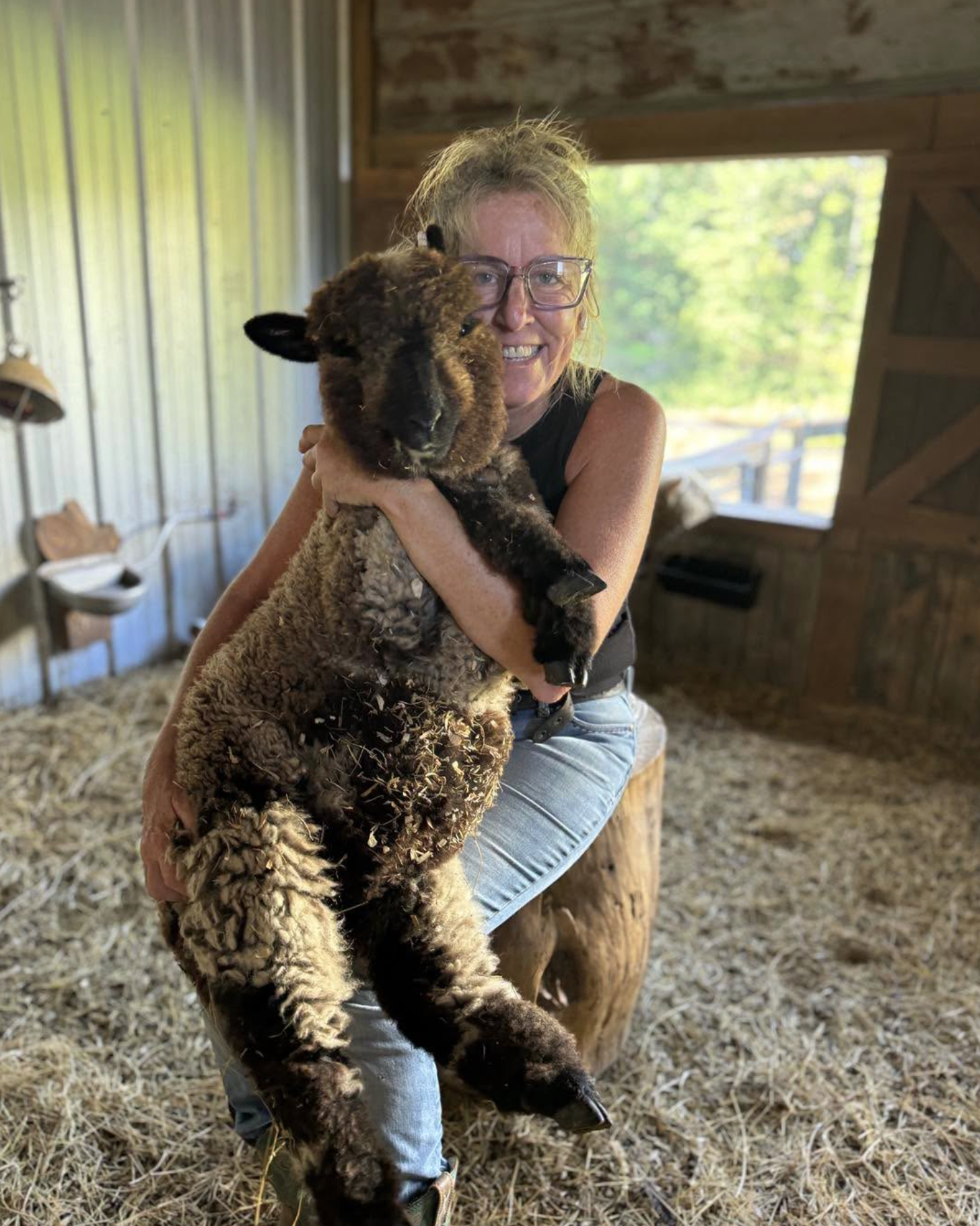 Woman holding a fluffy black-faced lamb inside a barn