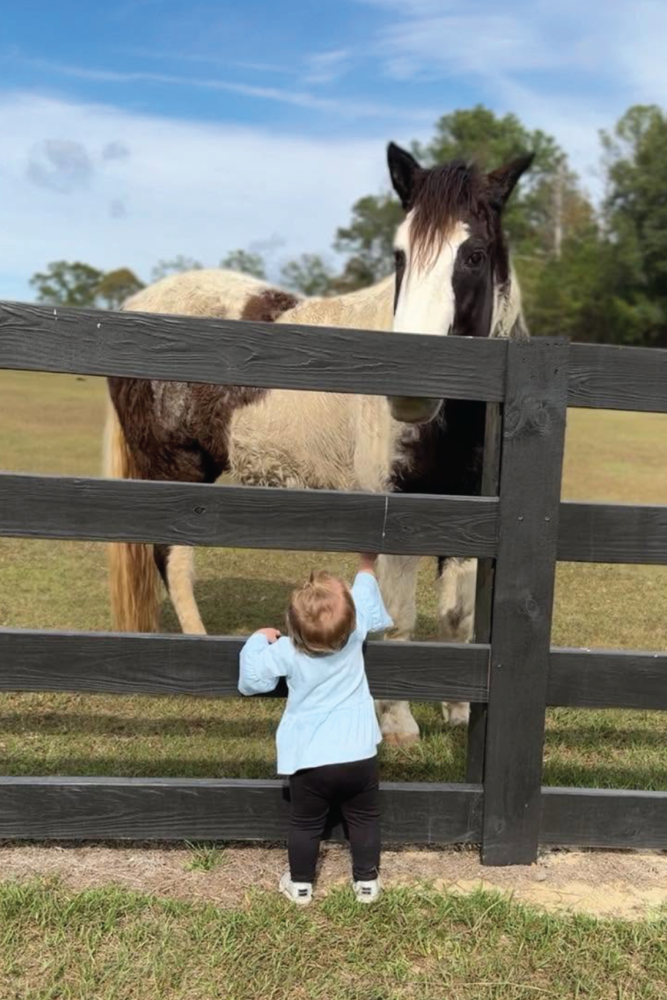 Boy with Horse.png