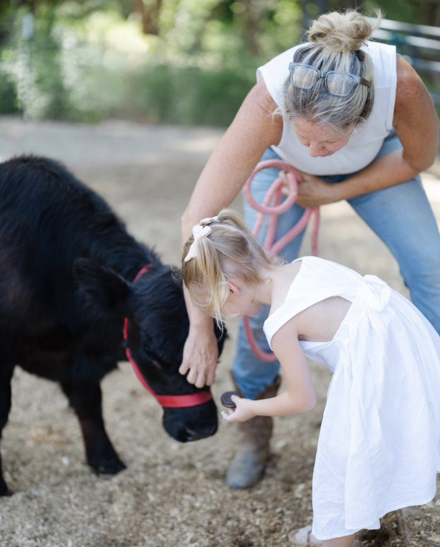Woman and girl grooming a black pony outdoors