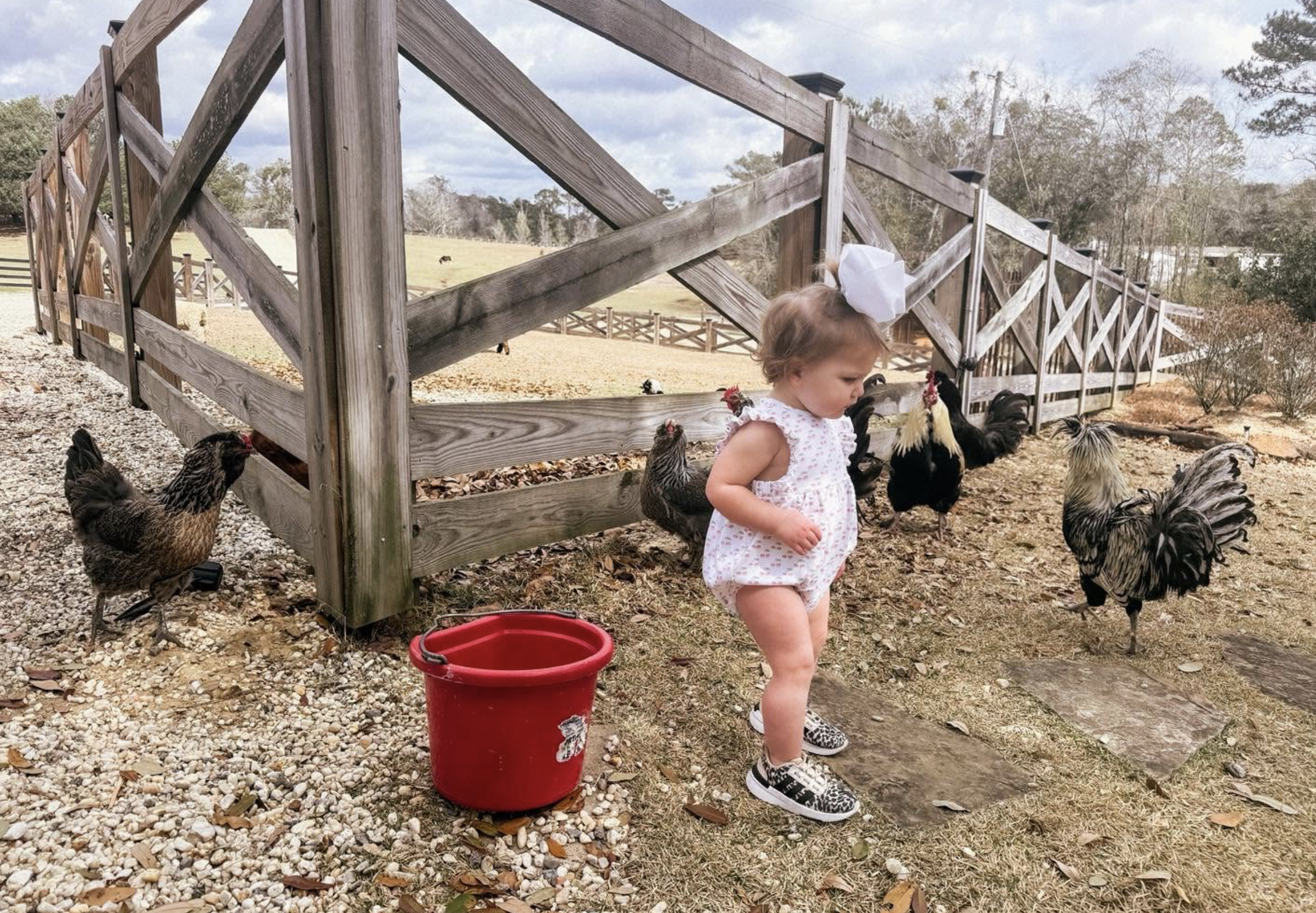 Toddler in a white bow and floral outfit surrounded by chickens at a wooden farm fence