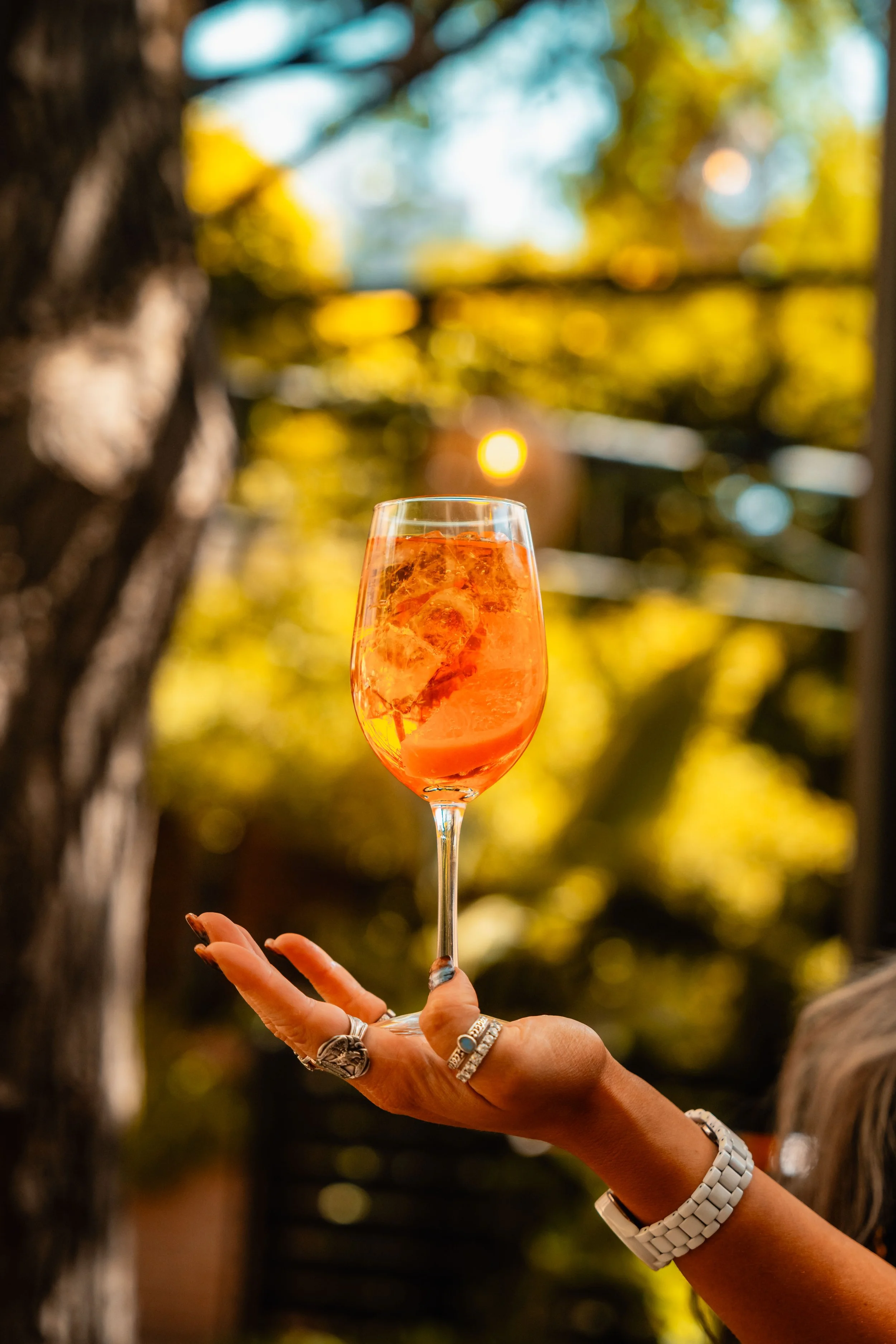 250621 Saturday Spritz-64.jpg