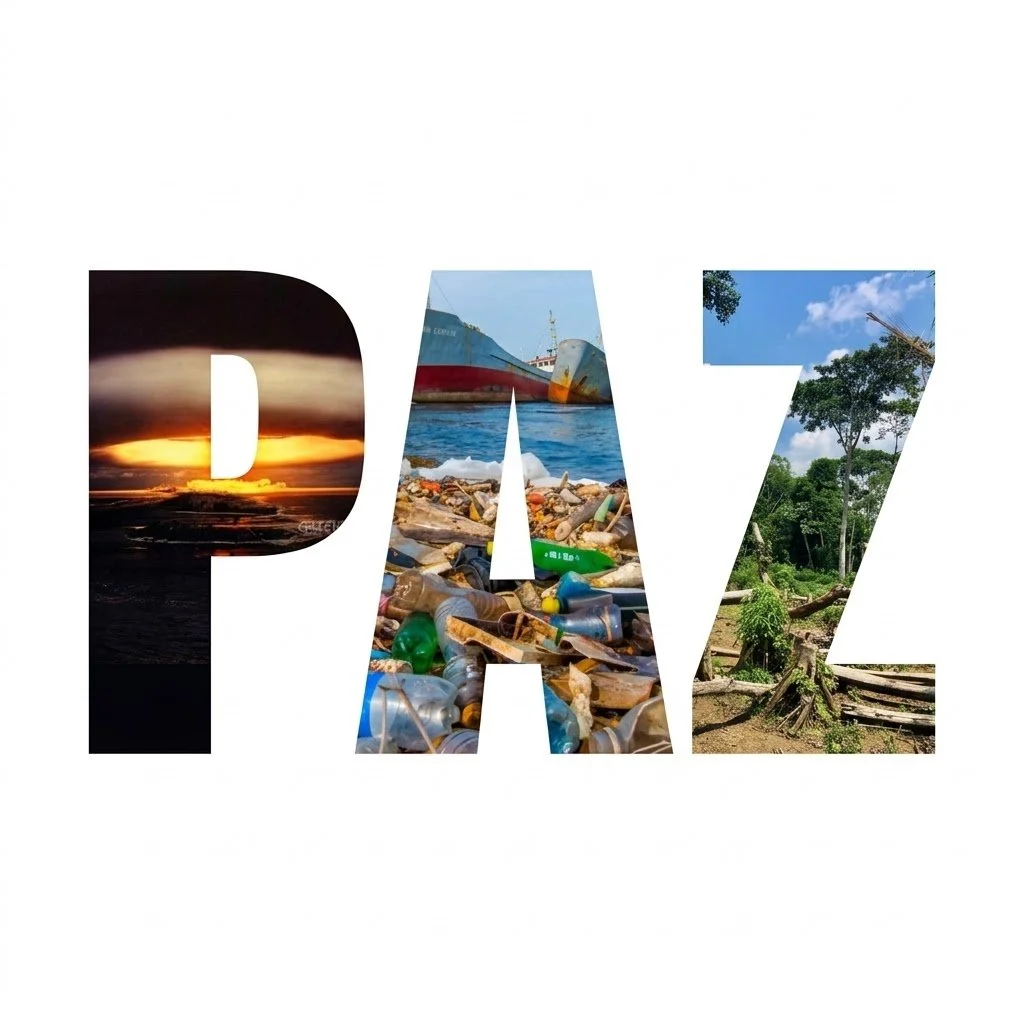 De la guerra interna a la paz social