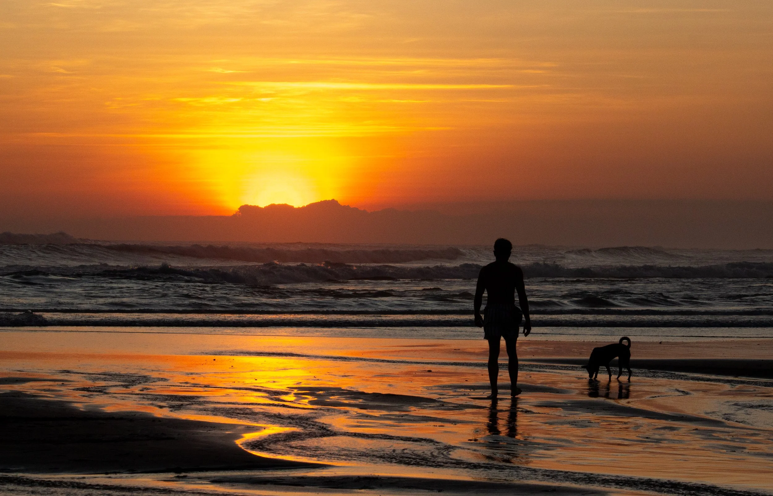 Man's best friend ~ Canggu sunset, Indonesia