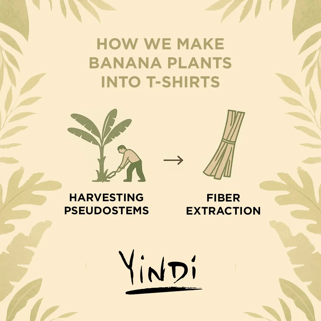 YINDI_Process_1 (1).jpg