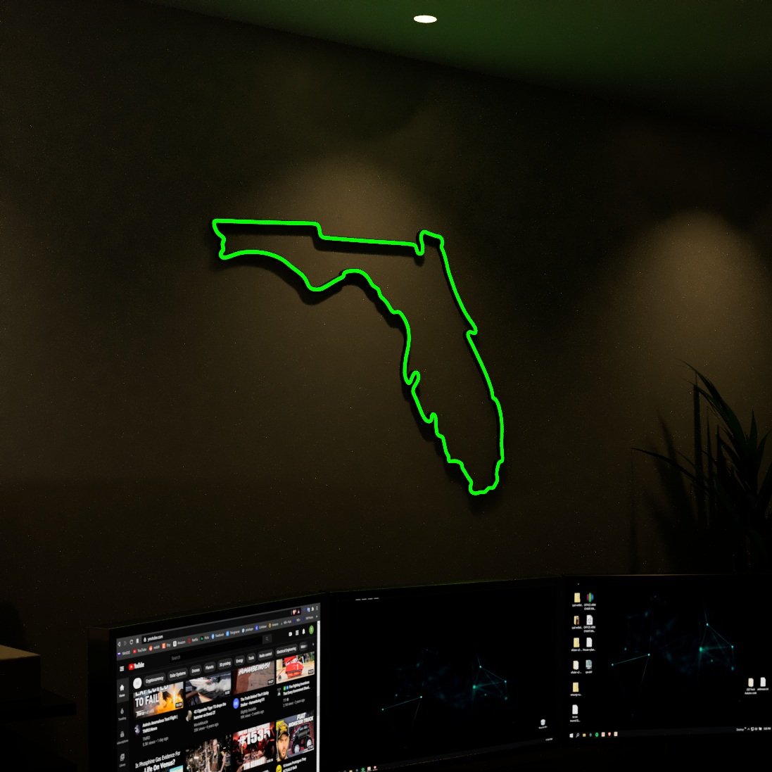 LED Neon Florida