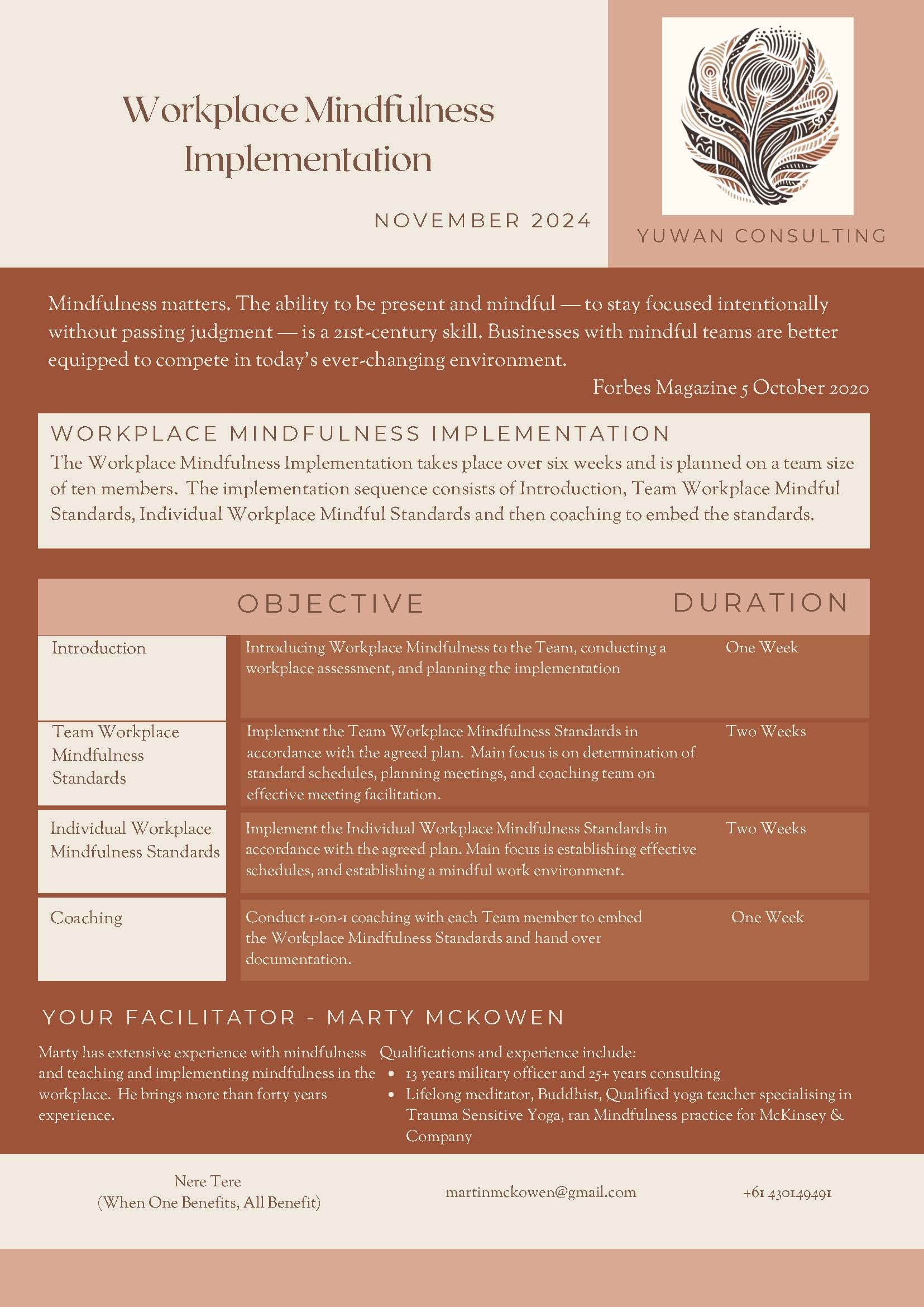 One Pager Workplace Mindfulness Implementation.jpg