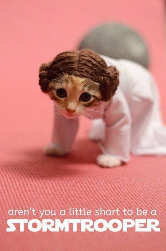 MAY THE FORTH BE WITH YOU