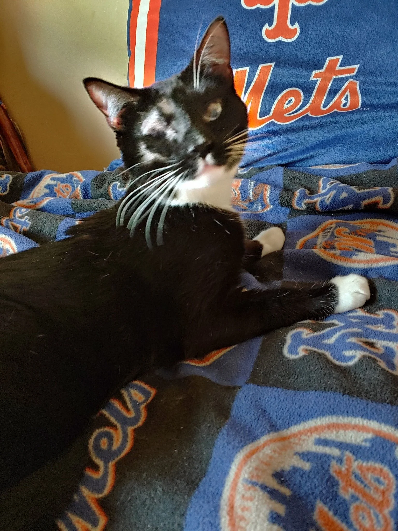 Seven years ago Jackie came home to us.
