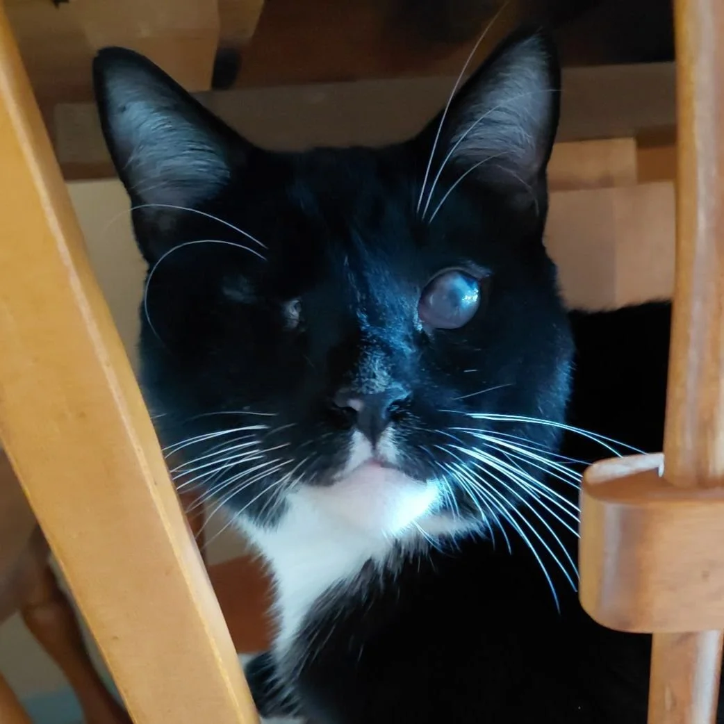 My Jackie!