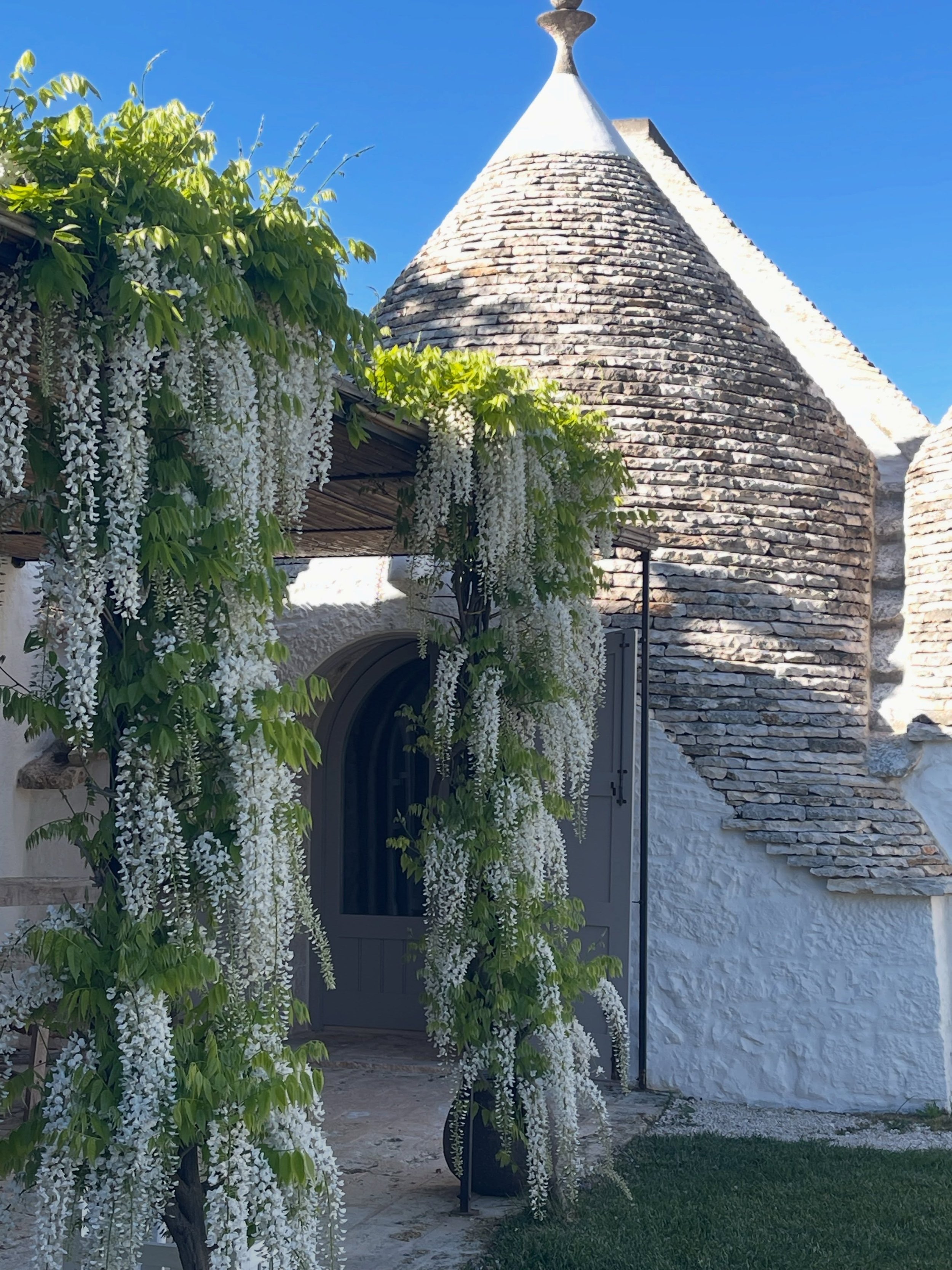 It all started with a yes 🌿 and some yeses shape your life forever 

Yes to visiting my mentor and soul fam in Portugal to ring in the new year

Yes to the calling of the Rose Line and to bringing women back to F&aacute;tima this Spring

Yes to the 