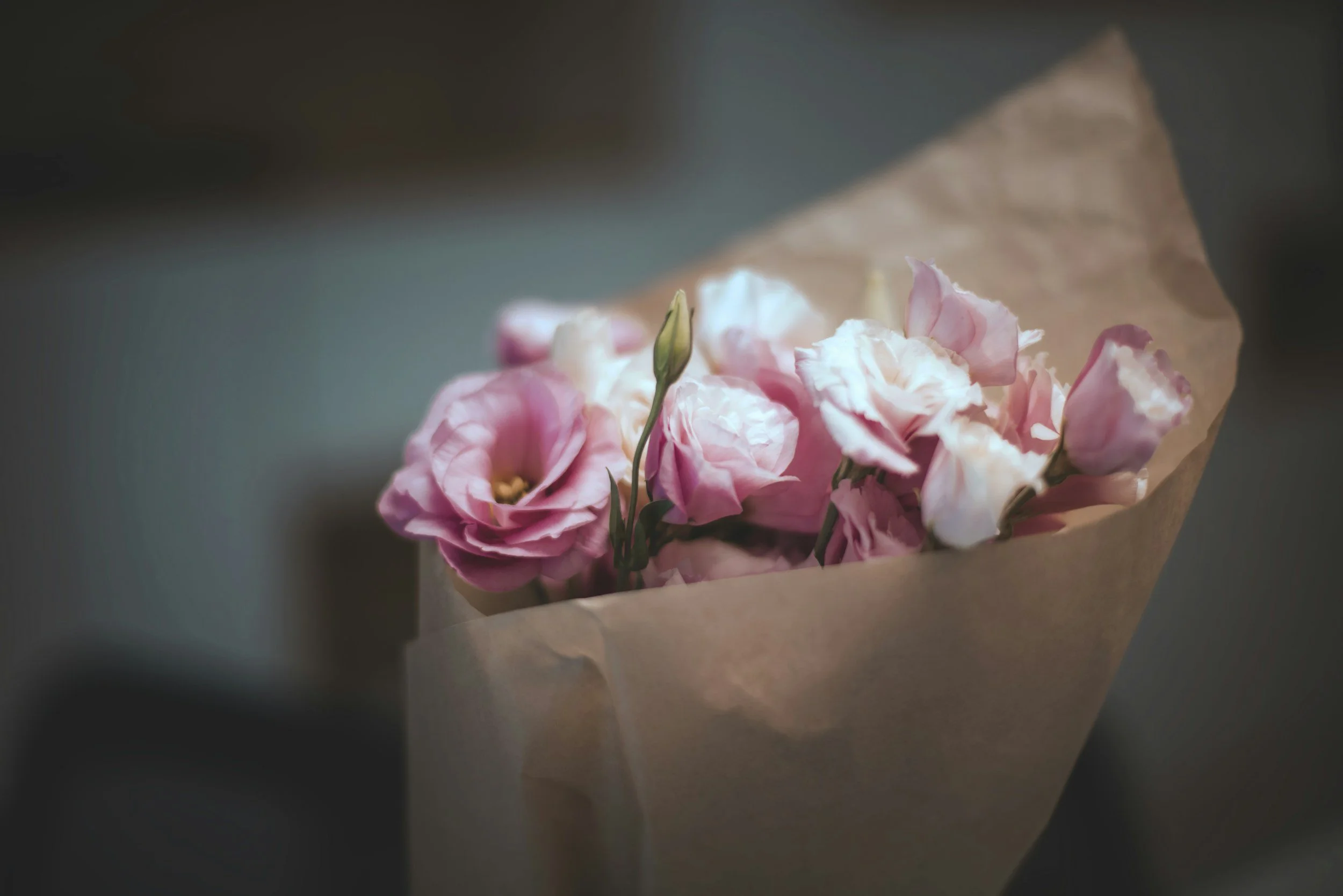 Close up of petals wrapped in paper 
