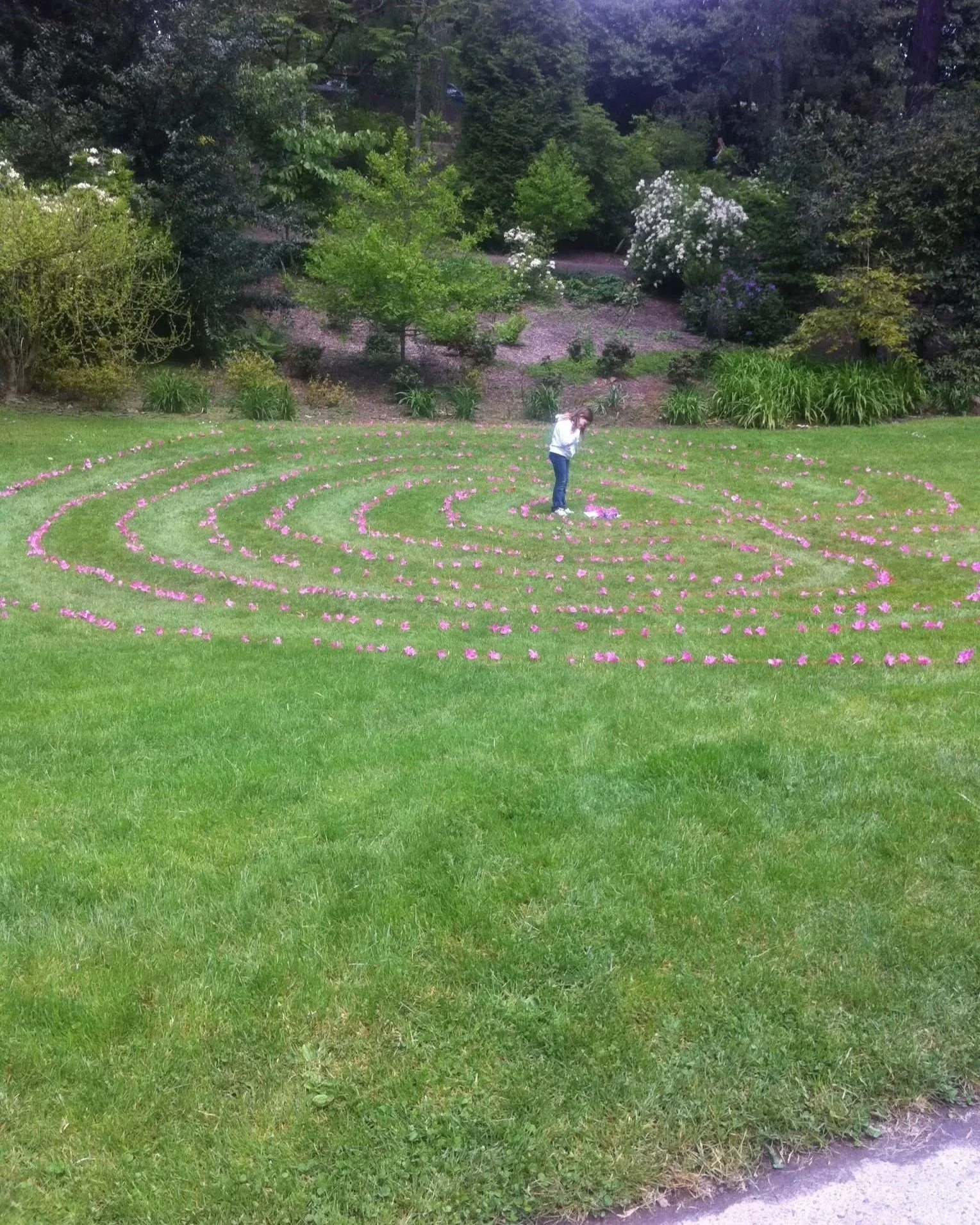    Laurelhurst Park Community Floral Labyrinth