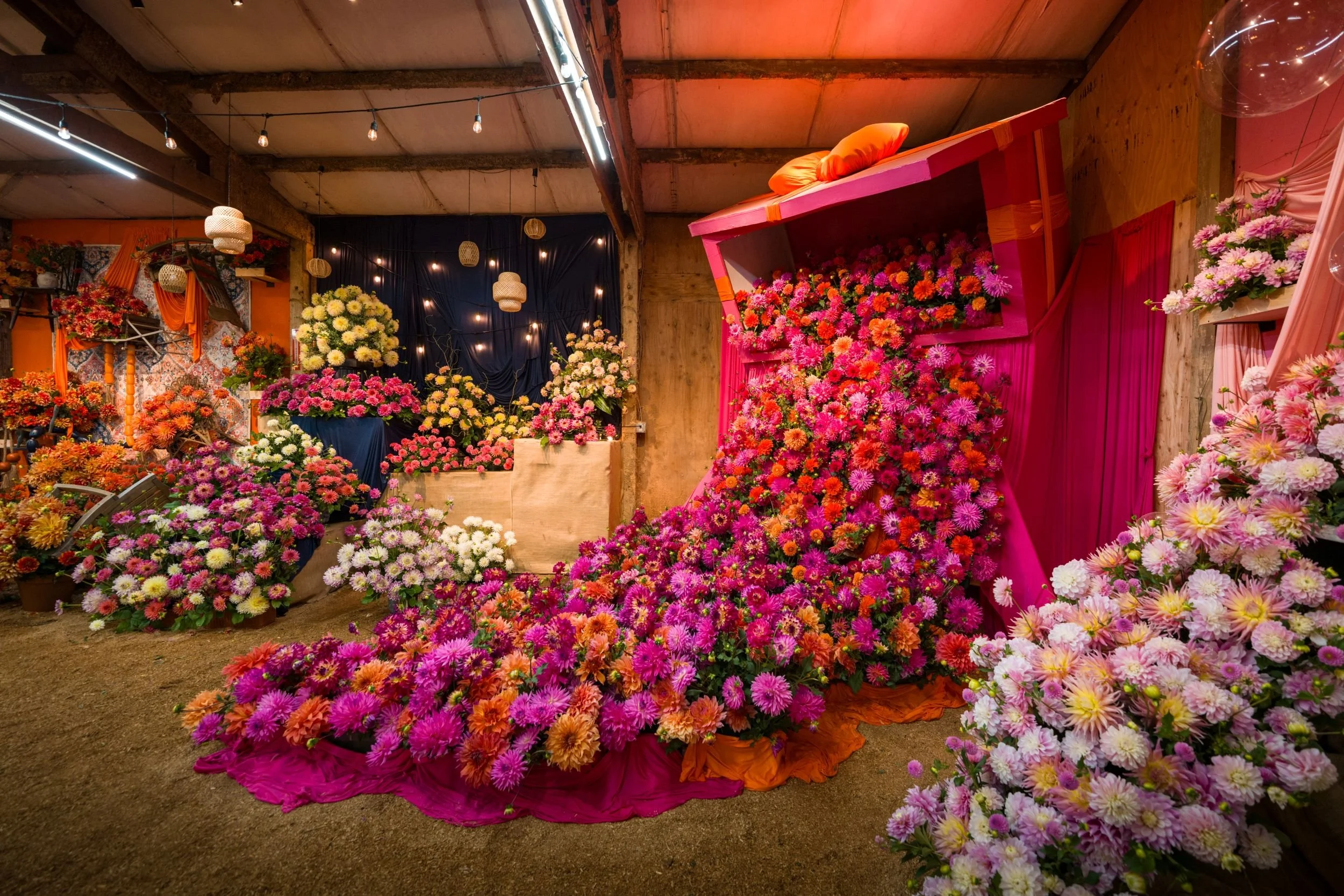 SID - BLOOM ROOM - Photos -20260921  -DSC04955.jpg