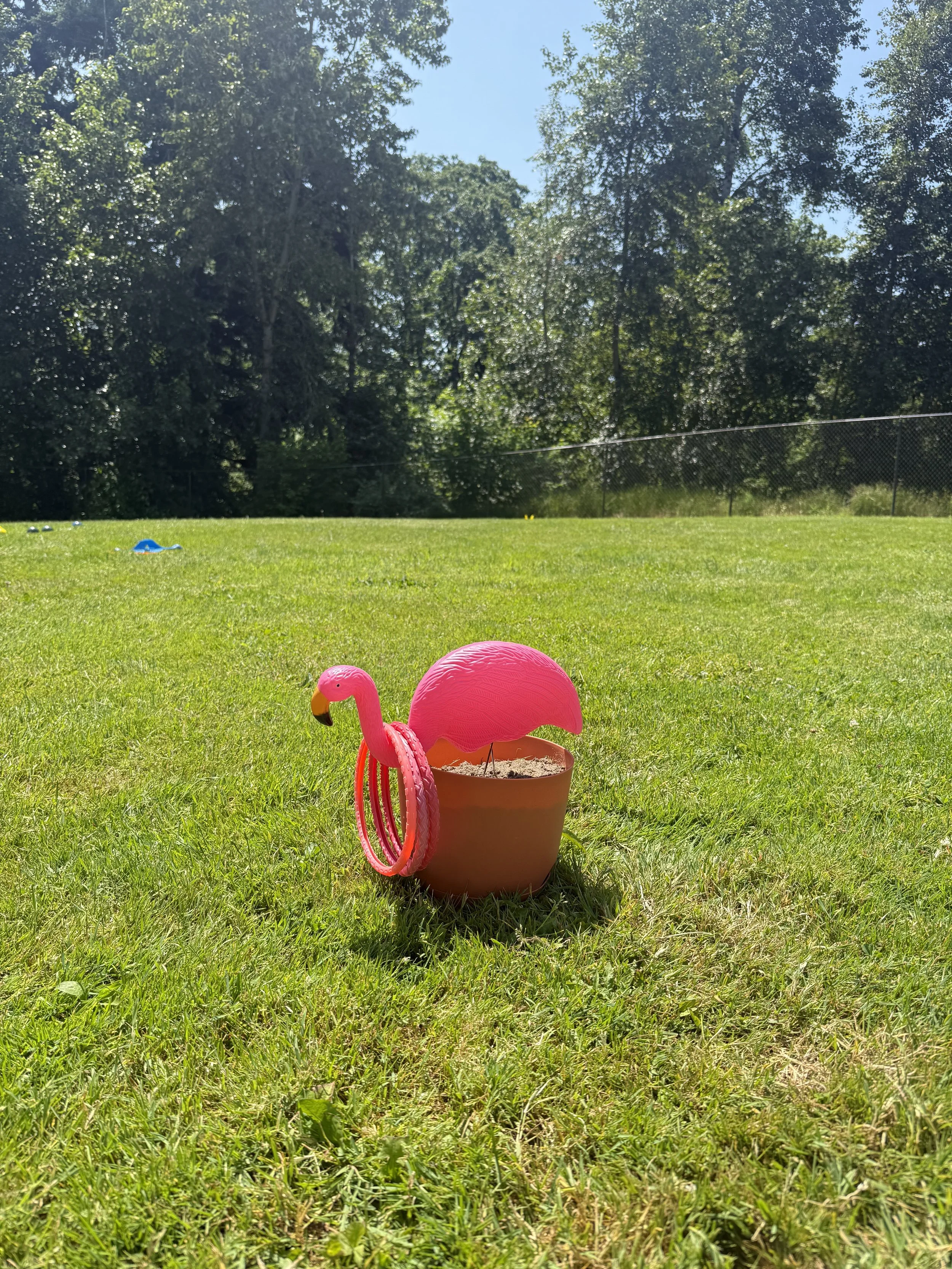 Pink lawn flamingo and inflatable drink holder placed on a sunny green field during a festive outdoor gathering.