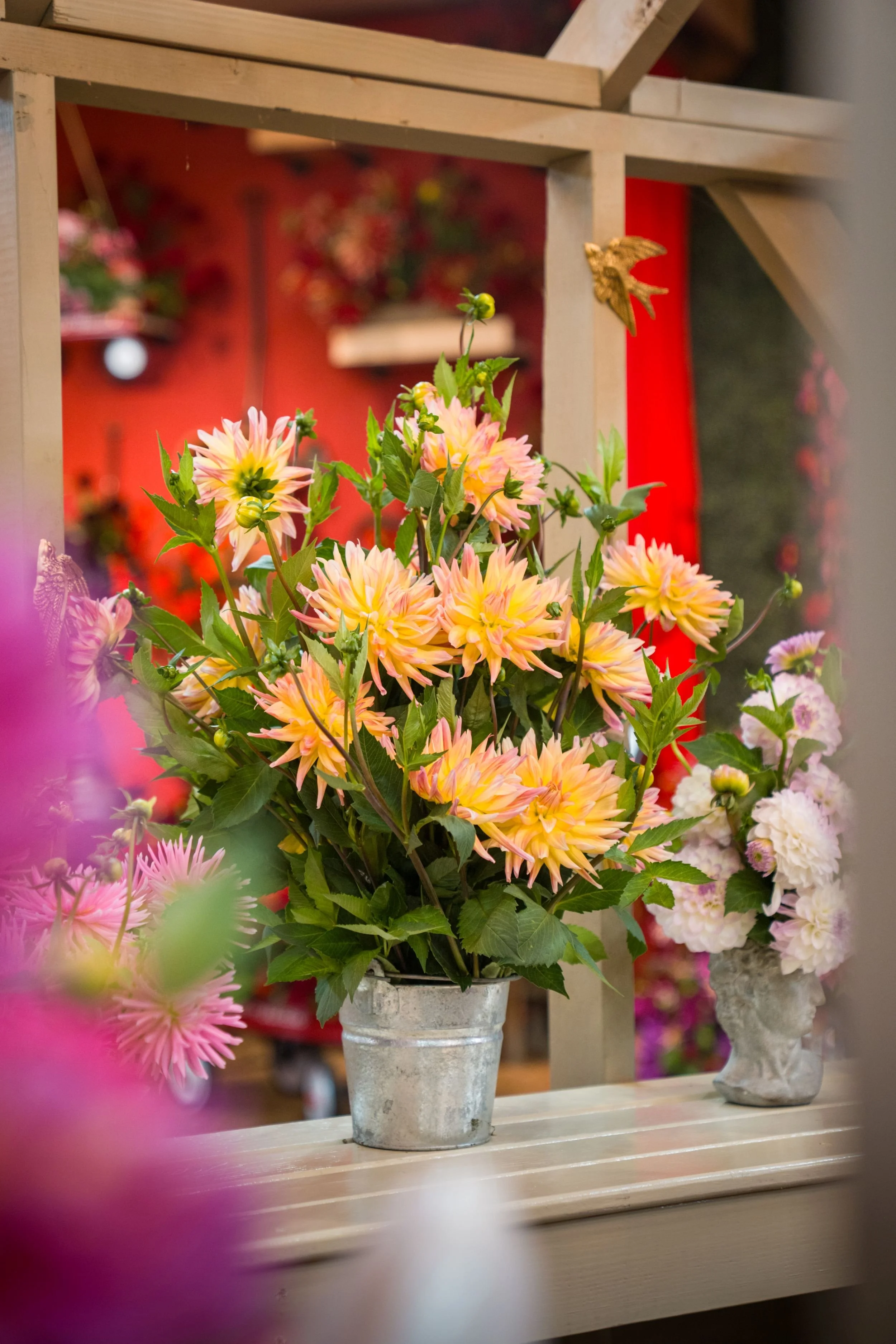 SID - BLOOM ROOM - Photos -20260921  -DSC05117.jpg