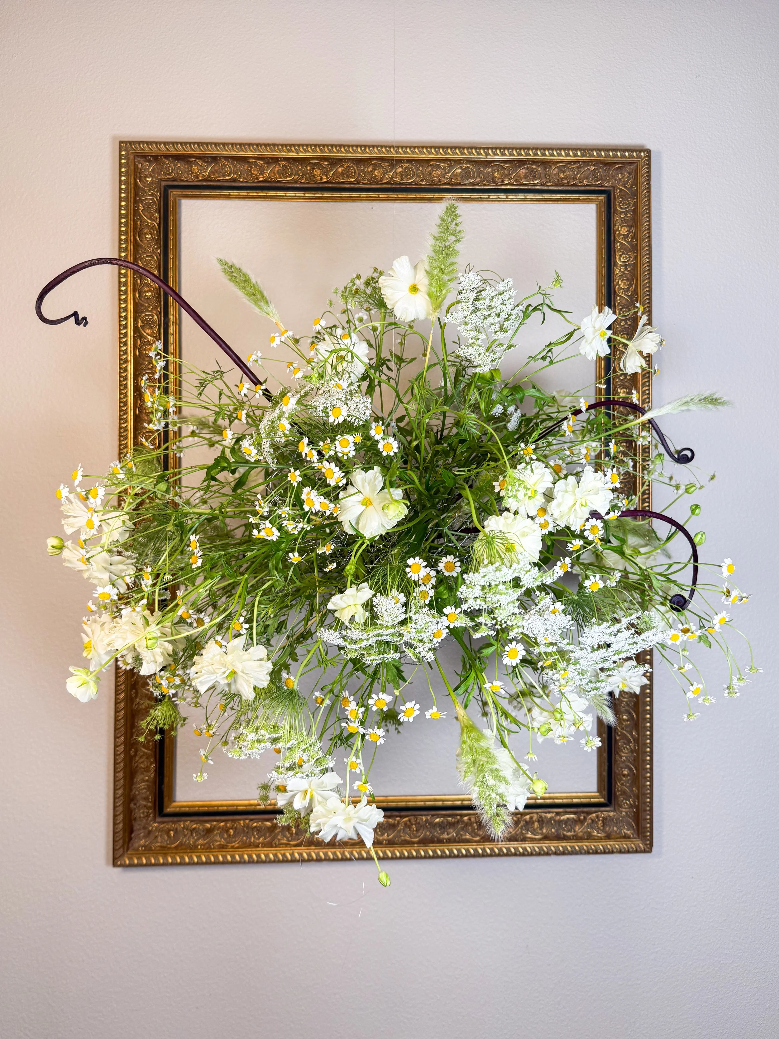 Meadow Suspension Study