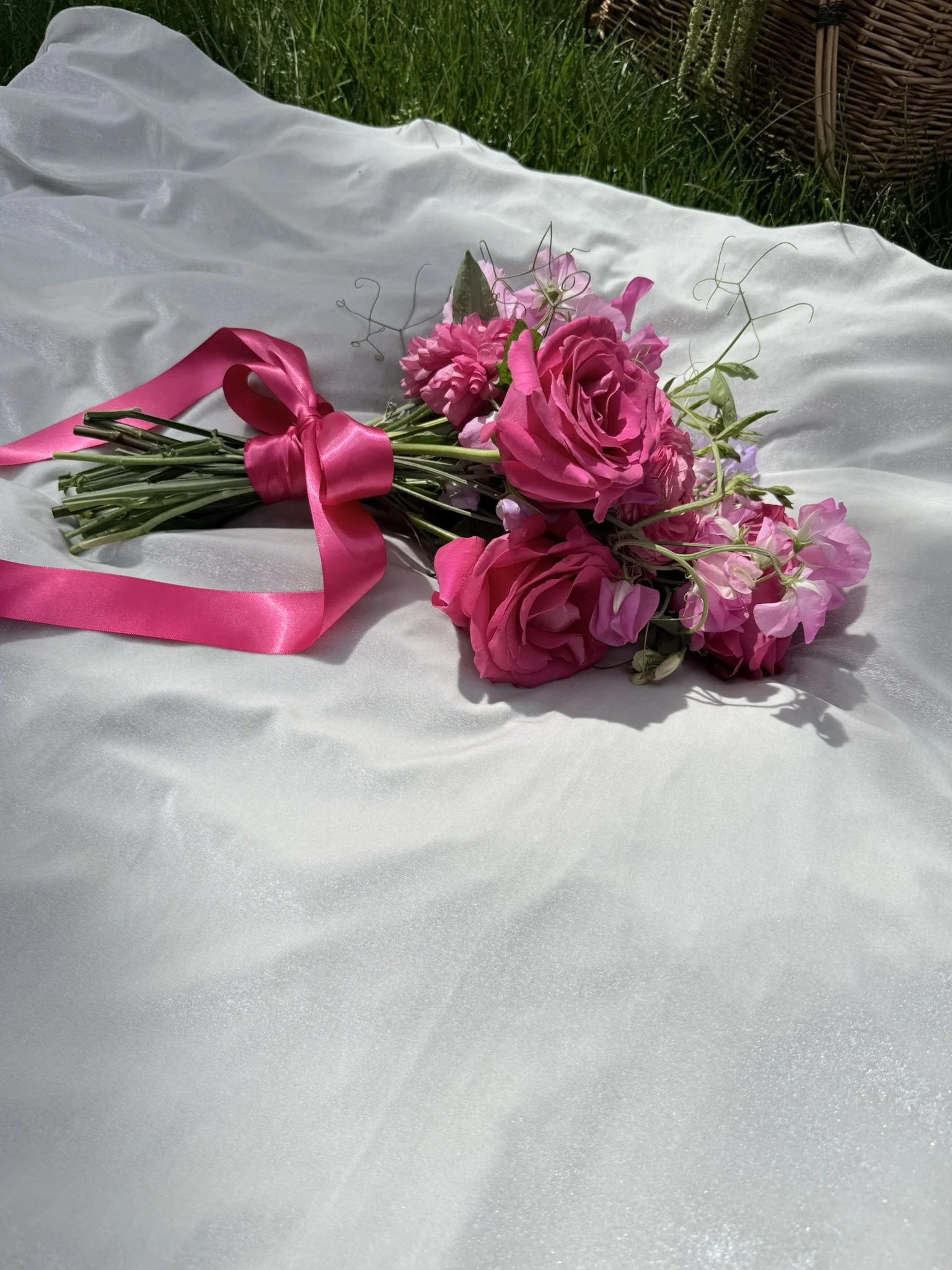 IMG_2020.JPEG