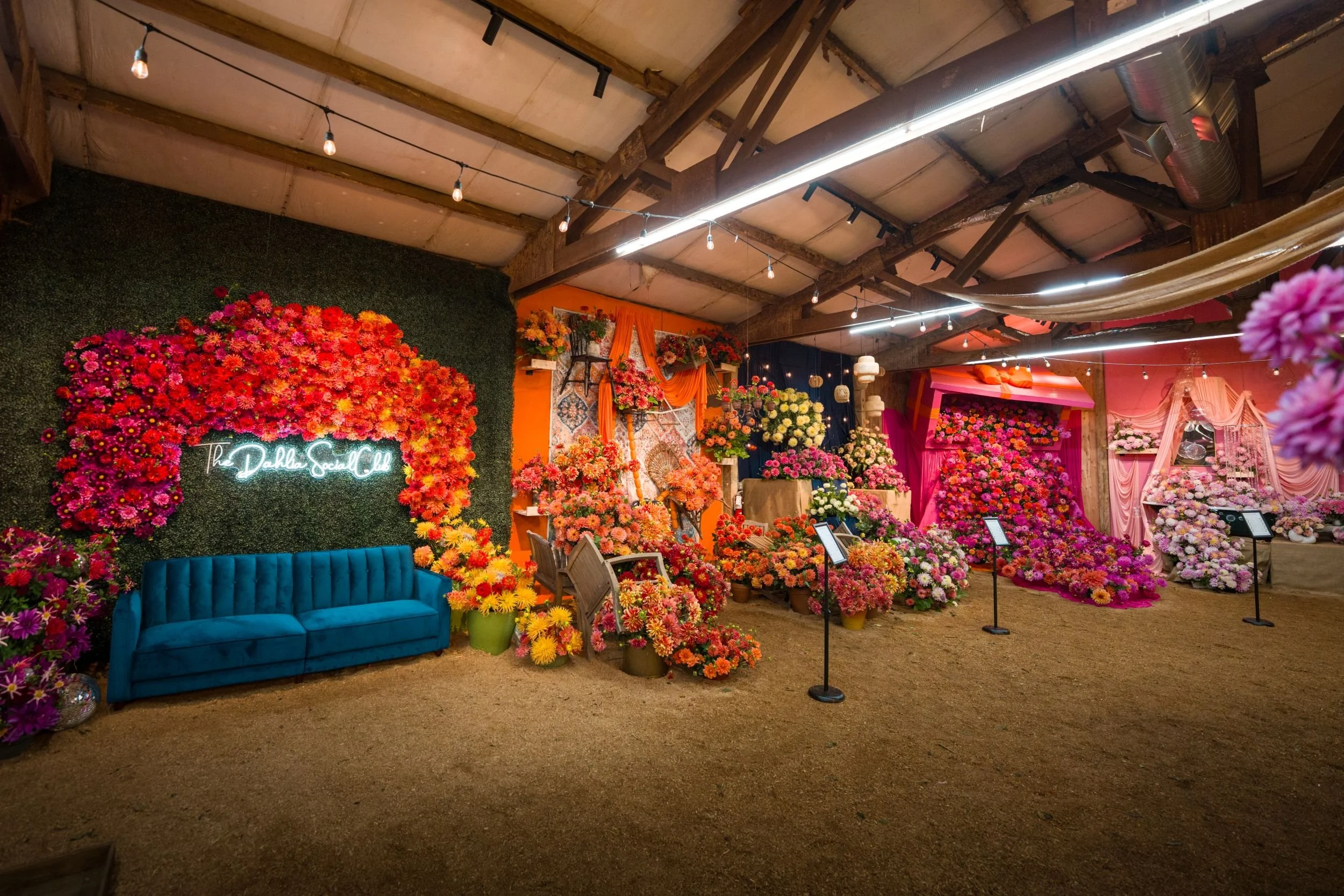 SID - BLOOM ROOM - Photos -20260921  -DSC05038.jpg