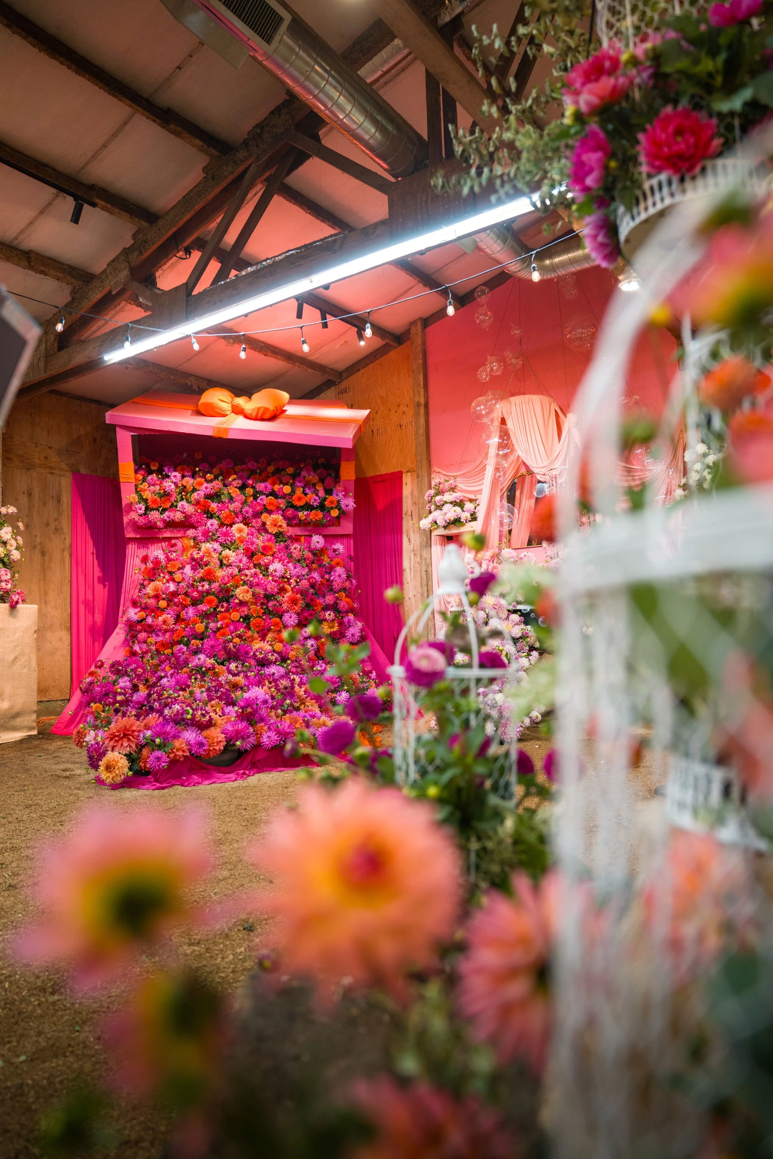 SID - BLOOM ROOM - Photos -20260921  -DSC05168.jpg