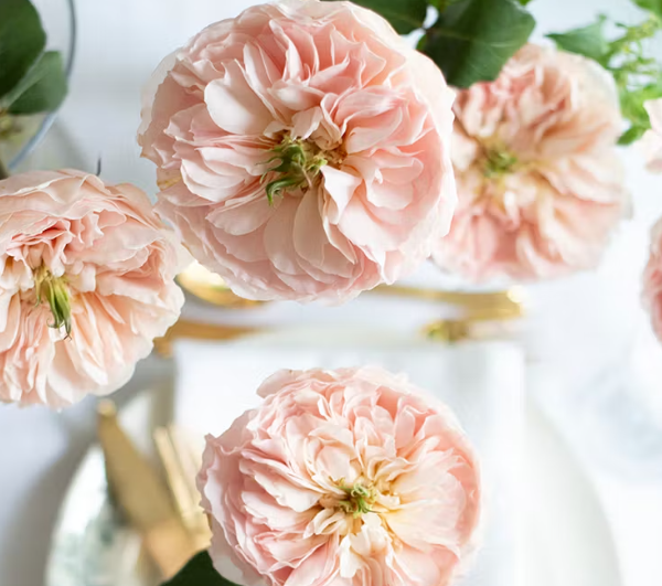 The Governess of Thornhill Bouquet