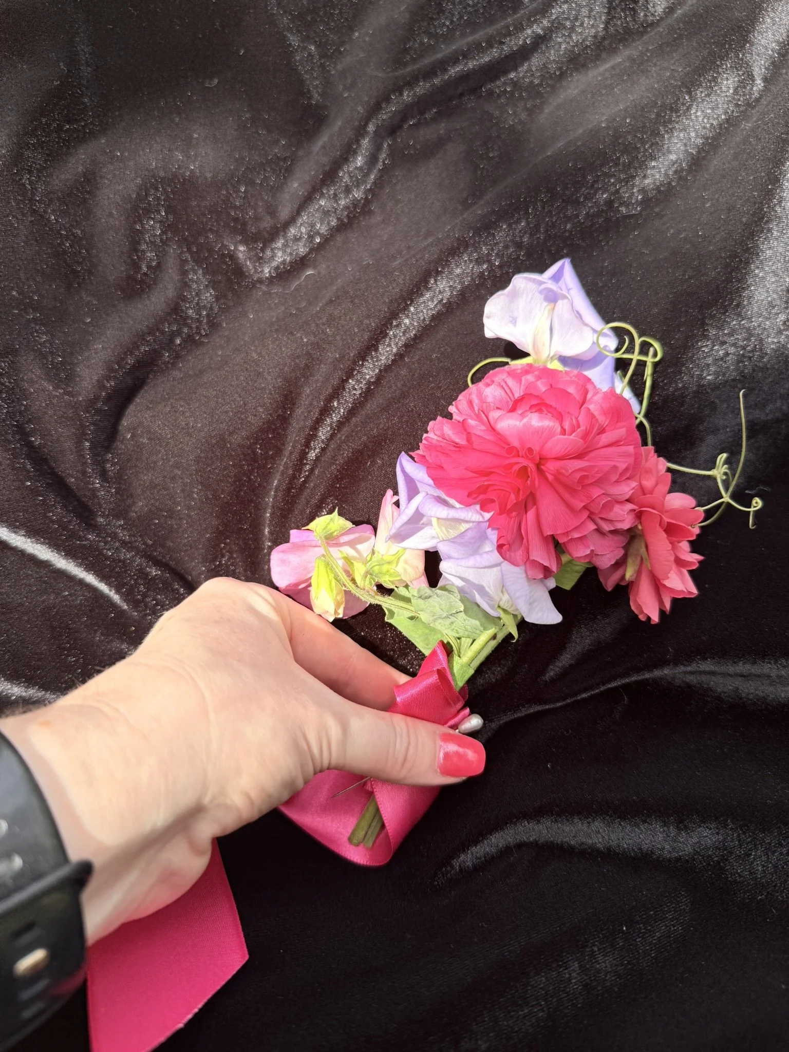 IMG_2004.JPEG