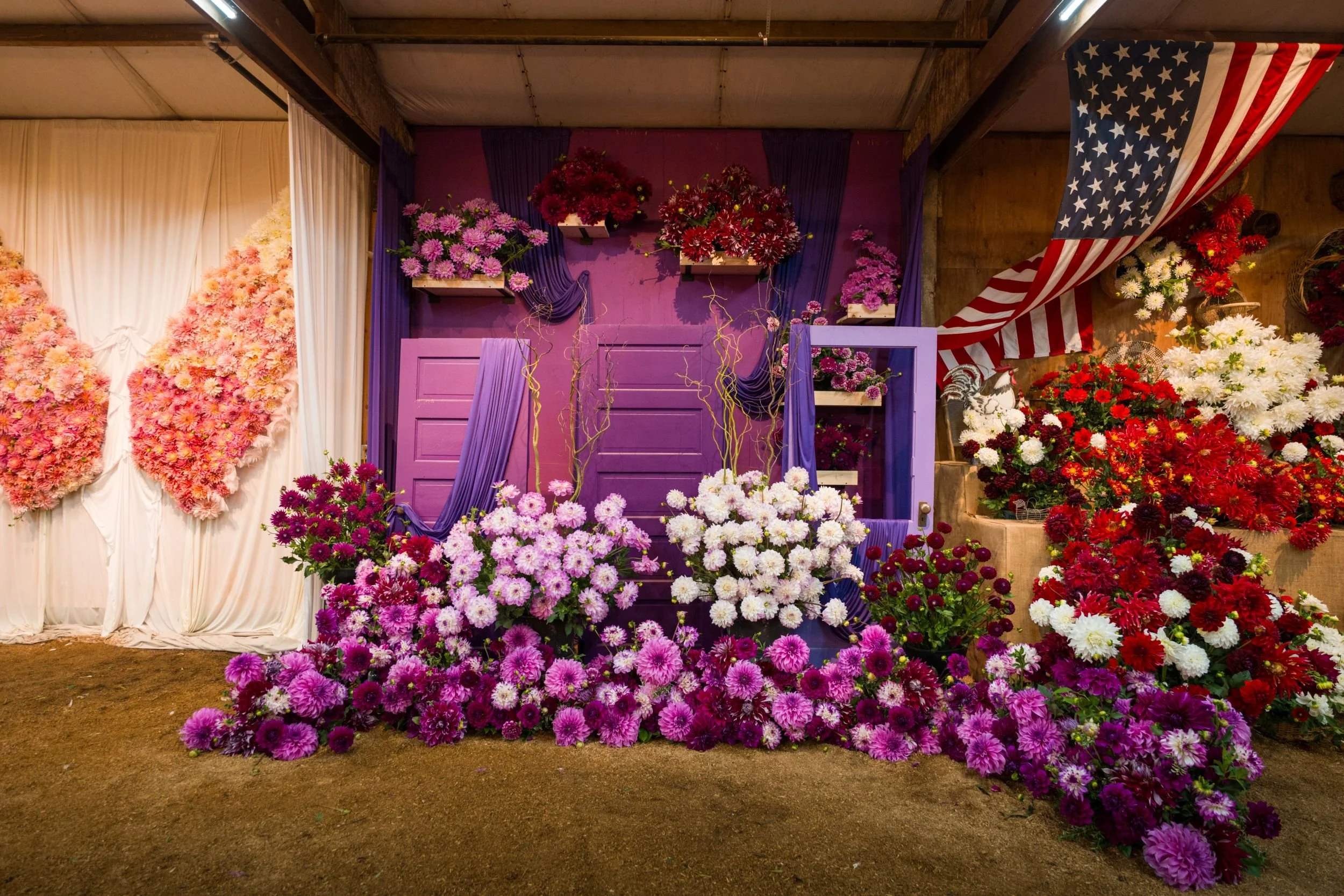 SID - BLOOM ROOM - Photos -20260921  -DSC04914.jpg
