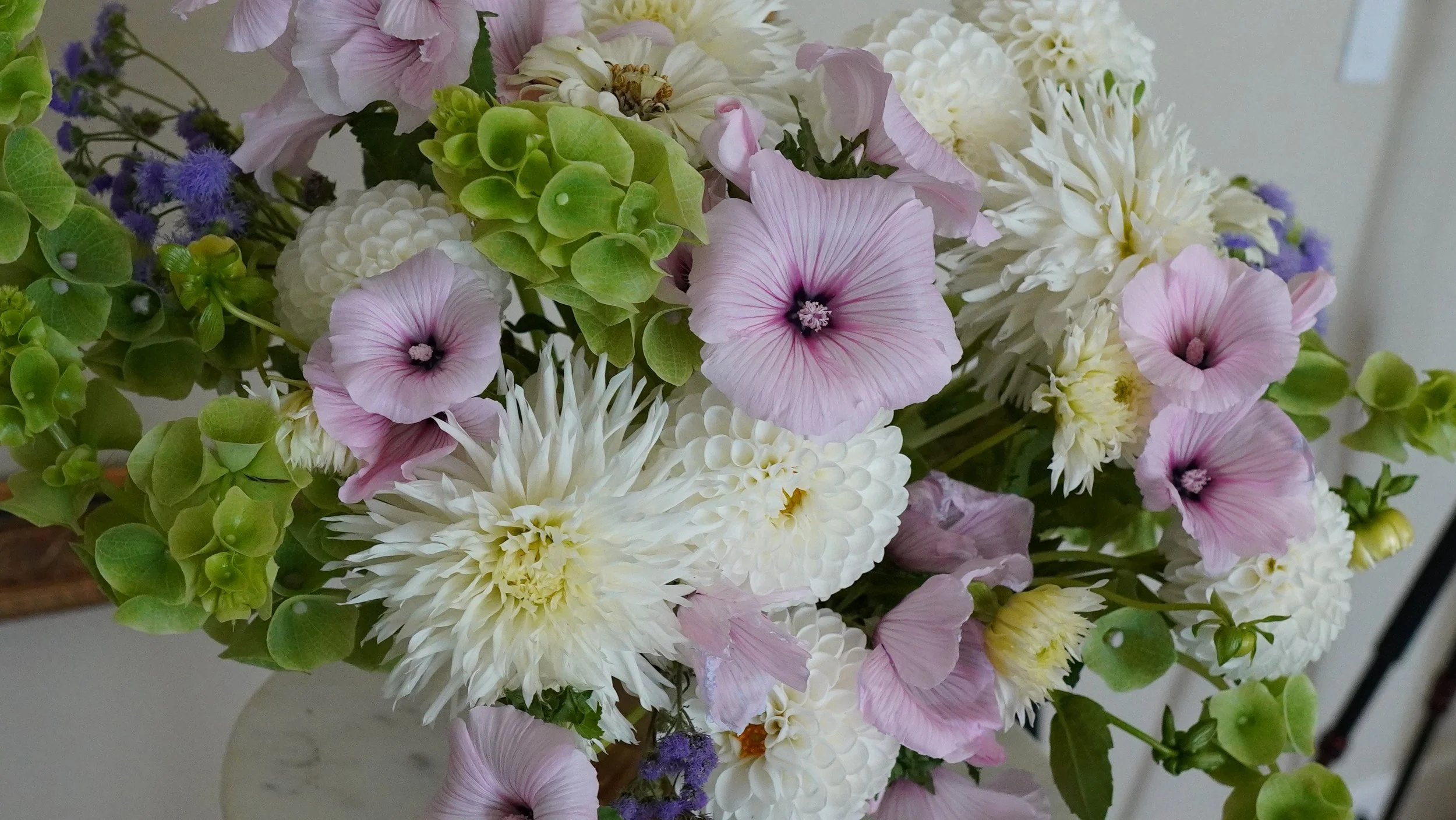 Beam & Bramble Digital Giftcard