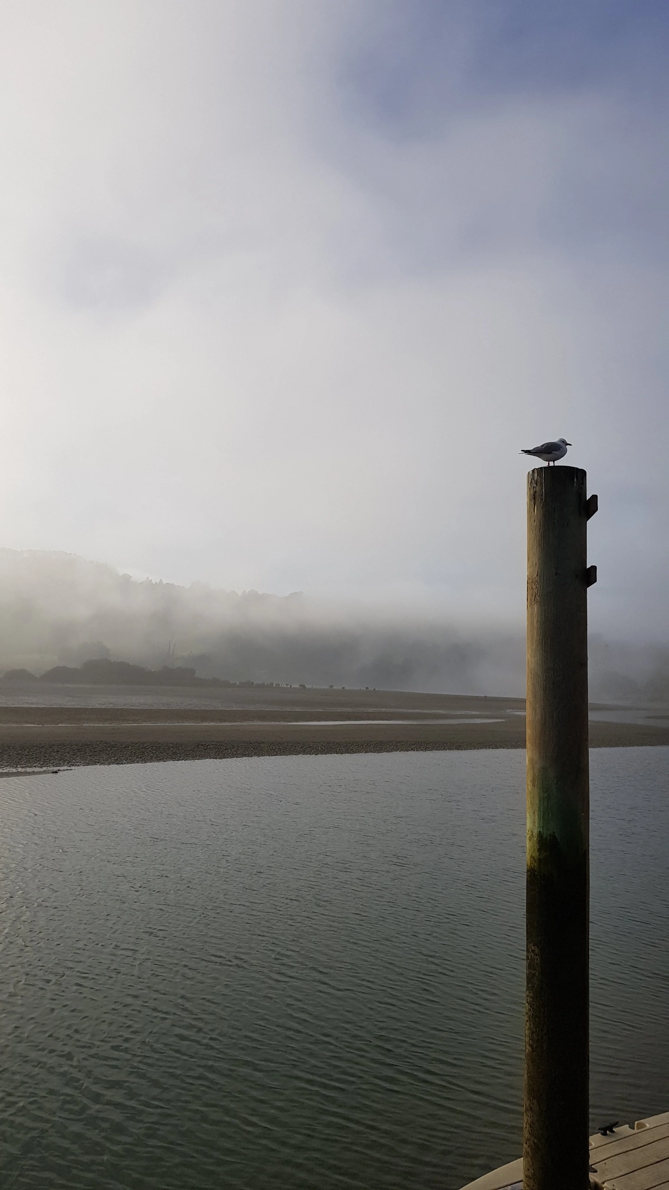 Gull post.jpg