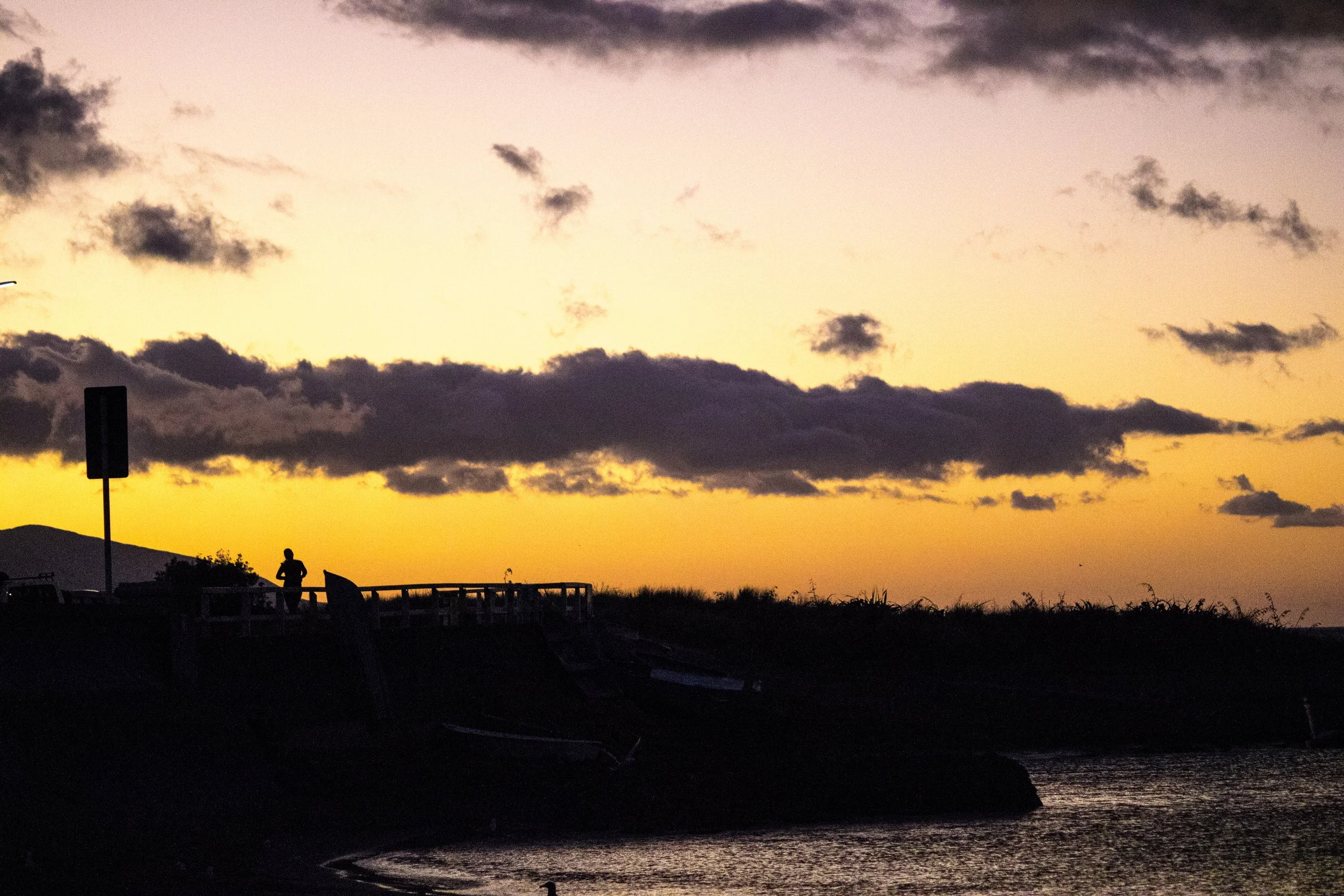 Alison Turner Images_3.jpg